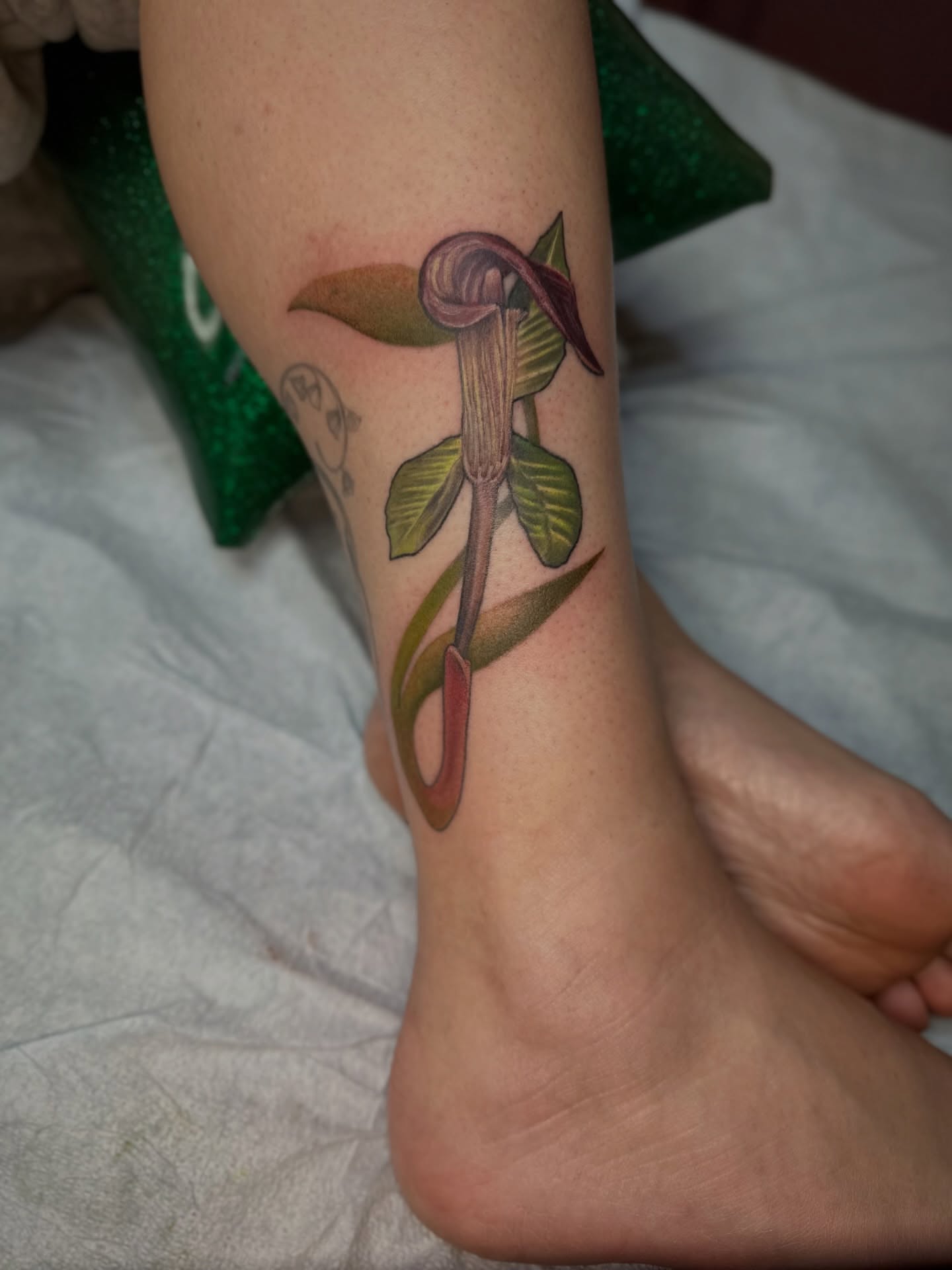 Tattoo by @virginiaswampwitch โ realism