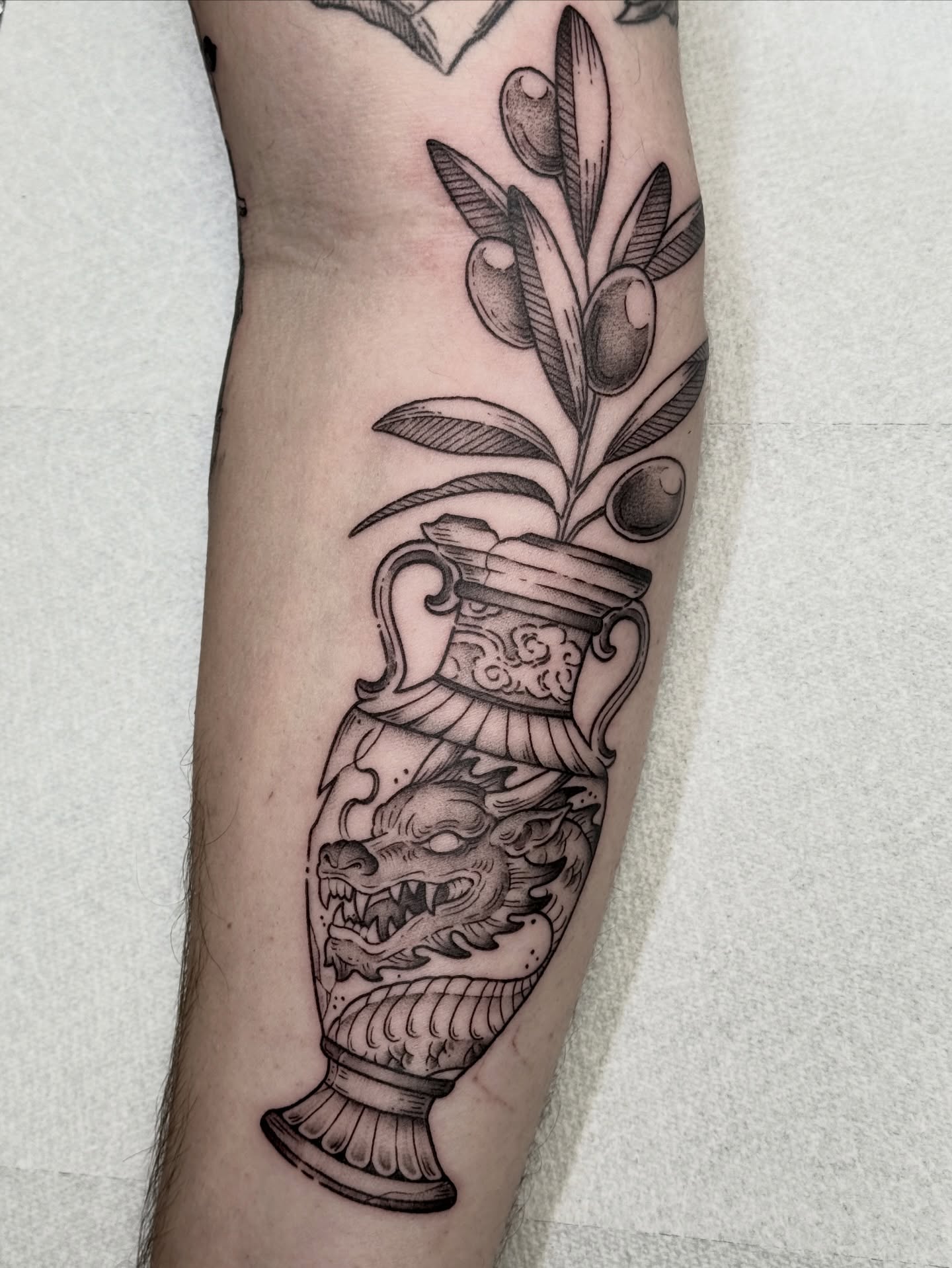 Olive branch in vase black and grey tattoo on the forearm by Hannah May, La Mesa, California