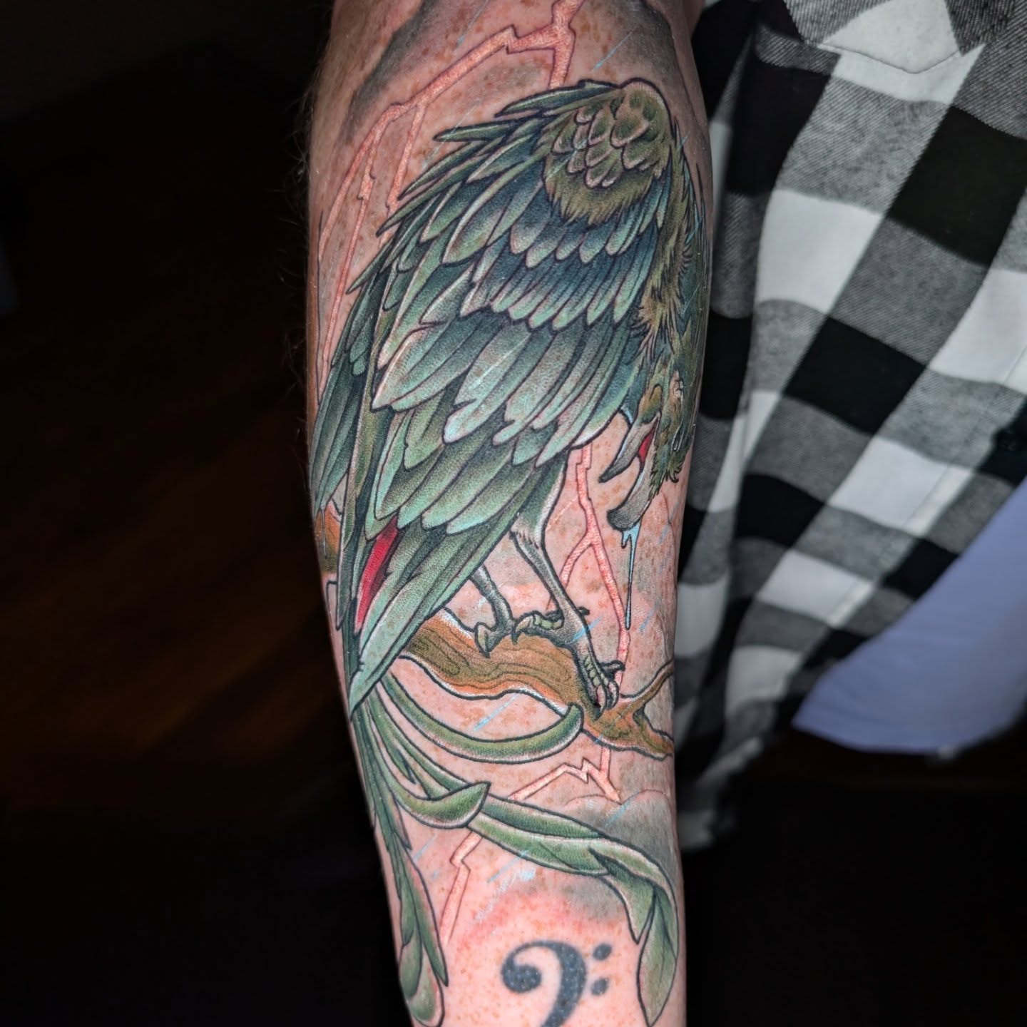 Bird American traditional tattoo on the forearm by Will Alexander, Lombard, Illinois
