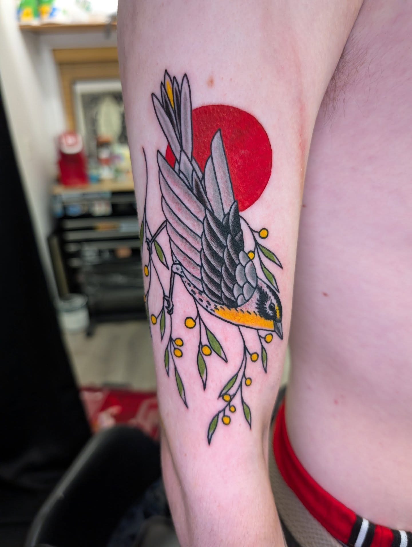 Bird American traditional tattoo on the forearm by Erik O'Steen, Medford, Massachusetts
