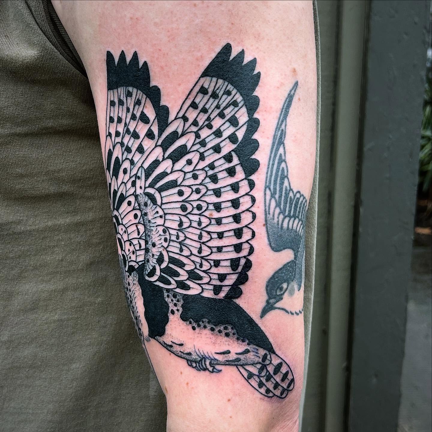 Bird American traditional tattoo on the forearm by Erica Finley