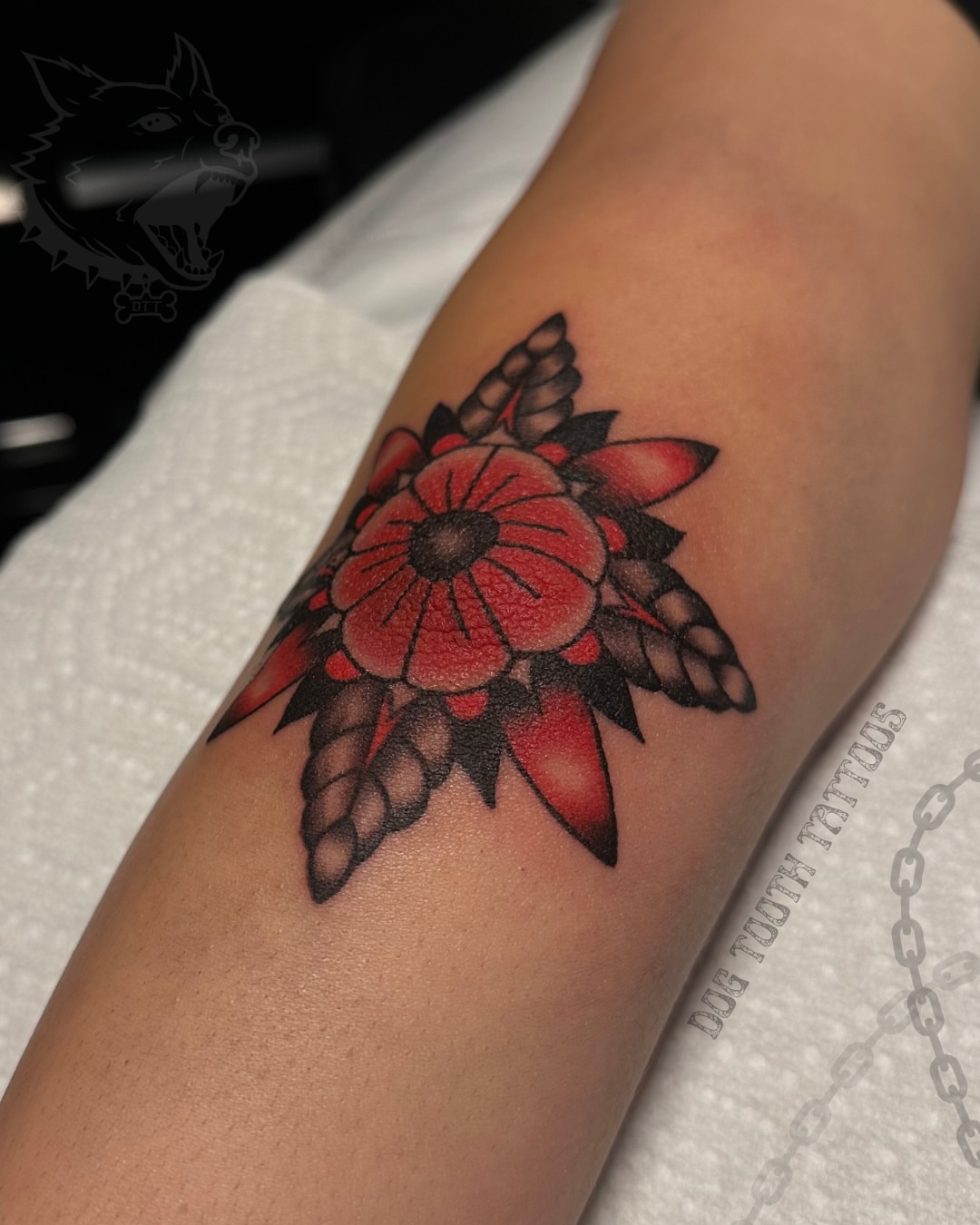 Tattoo by @dogtoothtattoos — american_traditional