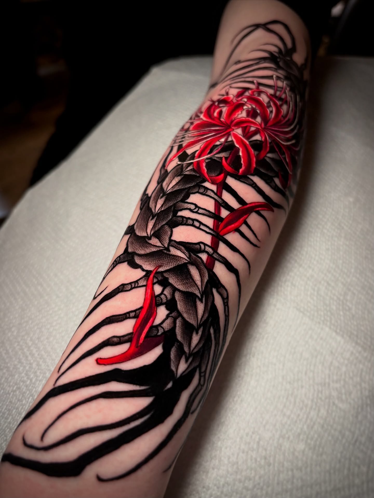 Red lily realism tattoo on the forearm by π΅πππ πΎπππππππ, Penndel, Pennsylvania