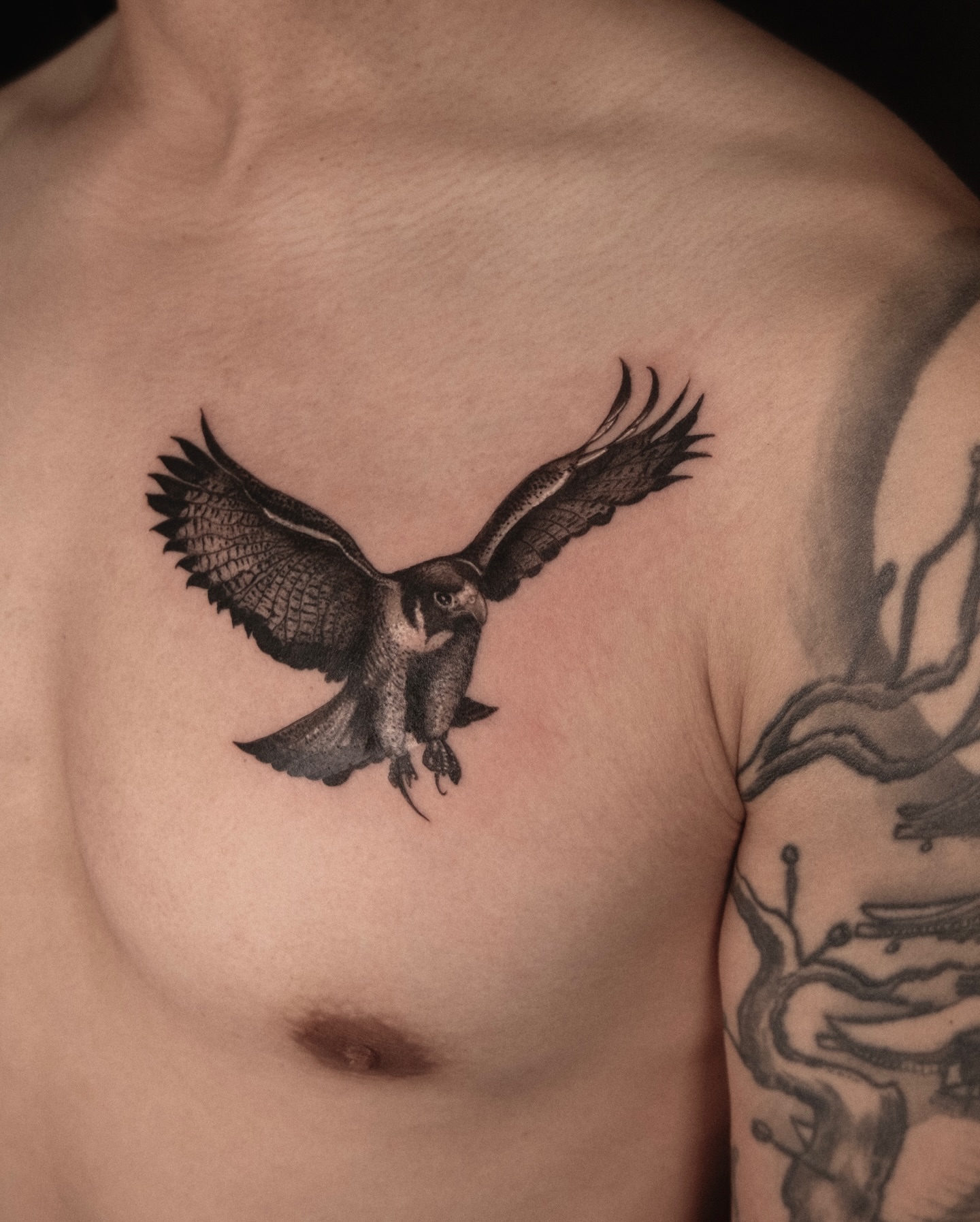 Hawk black and grey tattoo on the chest by Wong Lee