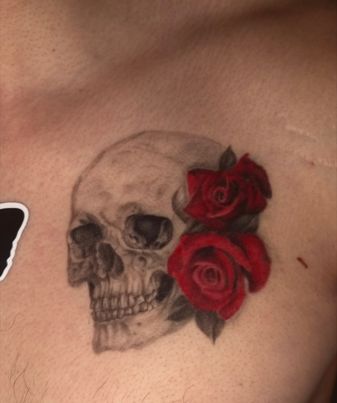 Skull and roses realism tattoo on the chest by Hannah Marie ๐ฆ, Benbrook, Texas