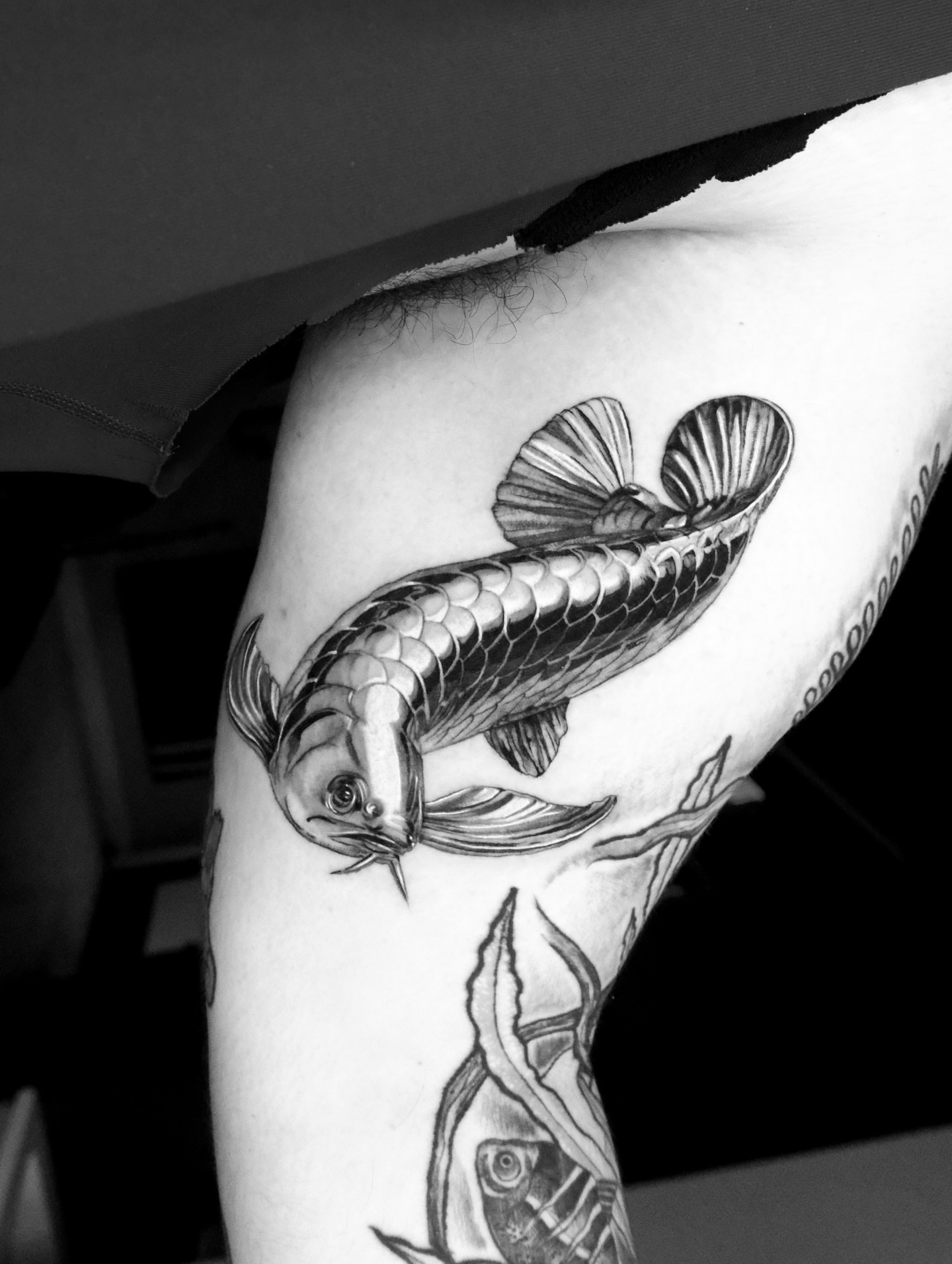 Koi fish black and grey tattoo on the thigh by Bay Area Tattoo Artist