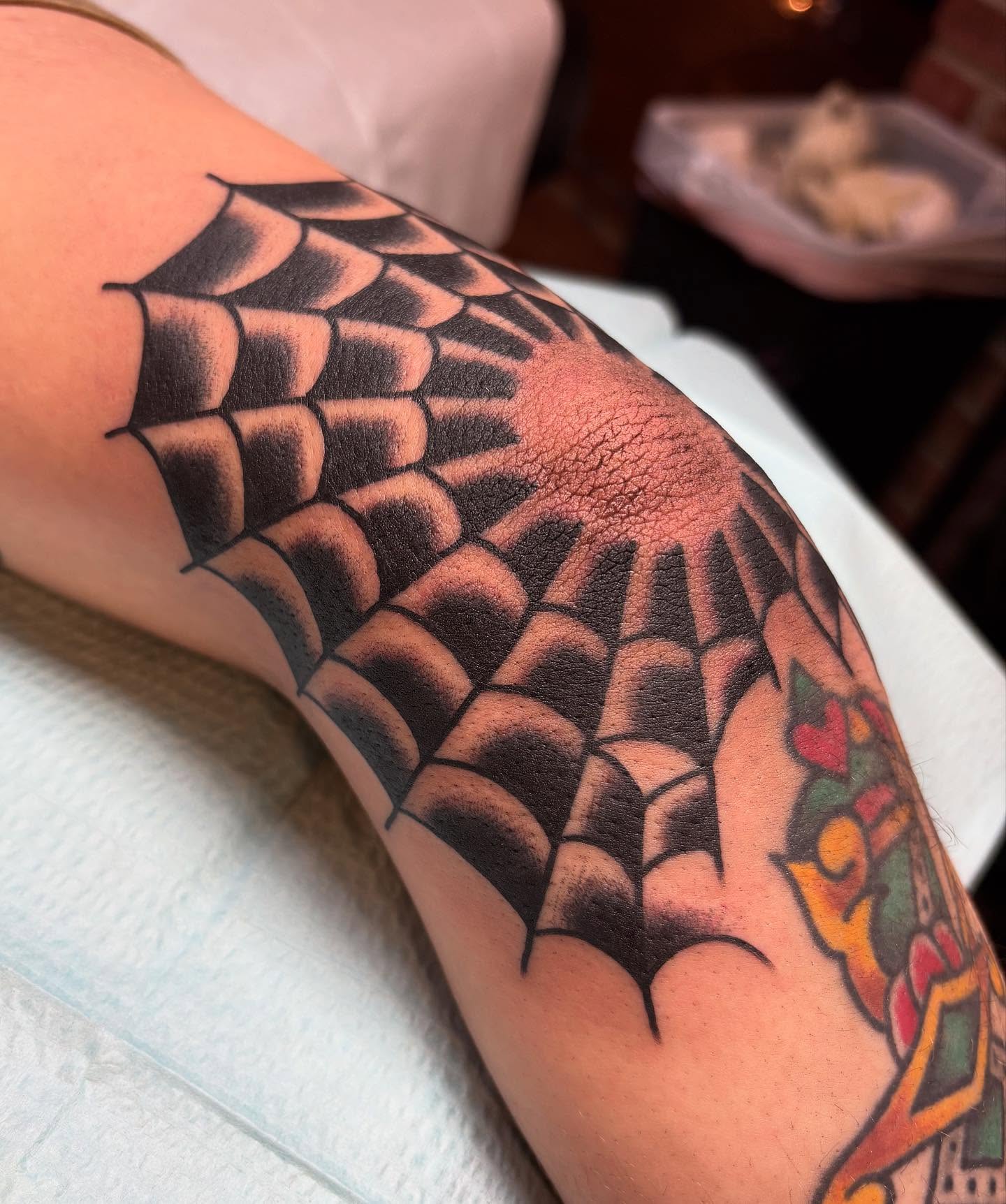 Spider web American traditional tattoo on the forearm by Tom Wenzell