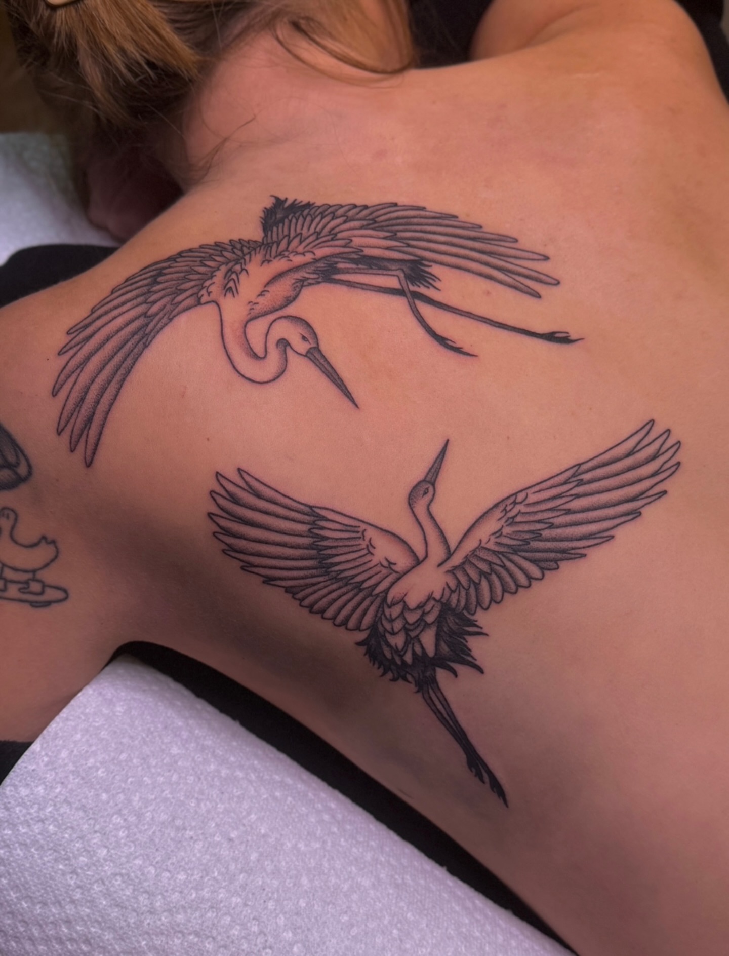 Cranes black and grey tattoo on the back by Ethan, Toledo, Ohio