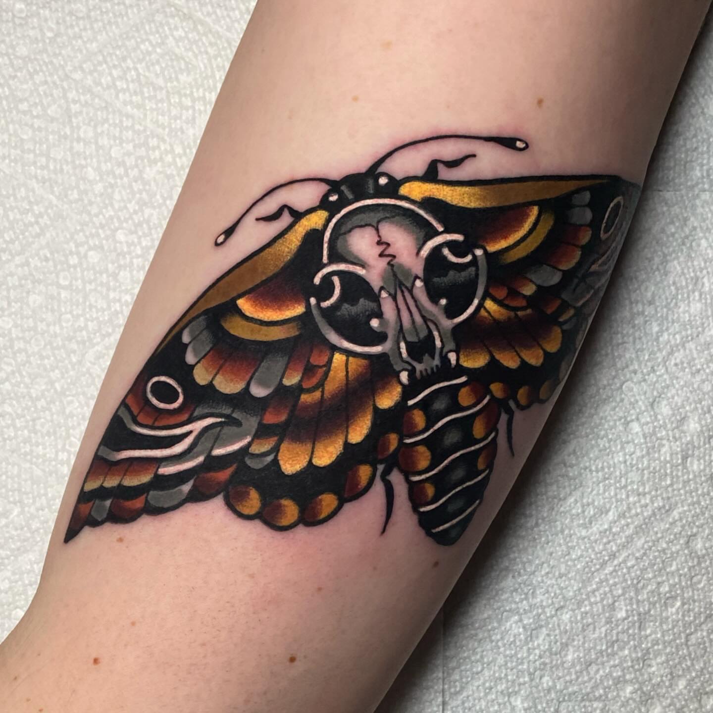 Death's-head moth American traditional tattoo on the forearm by Matthew Limbers⚜️