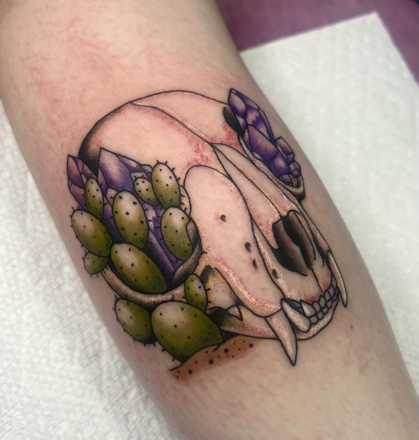Skull with cactus realism tattoo on the forearm by Kahlan ⍟