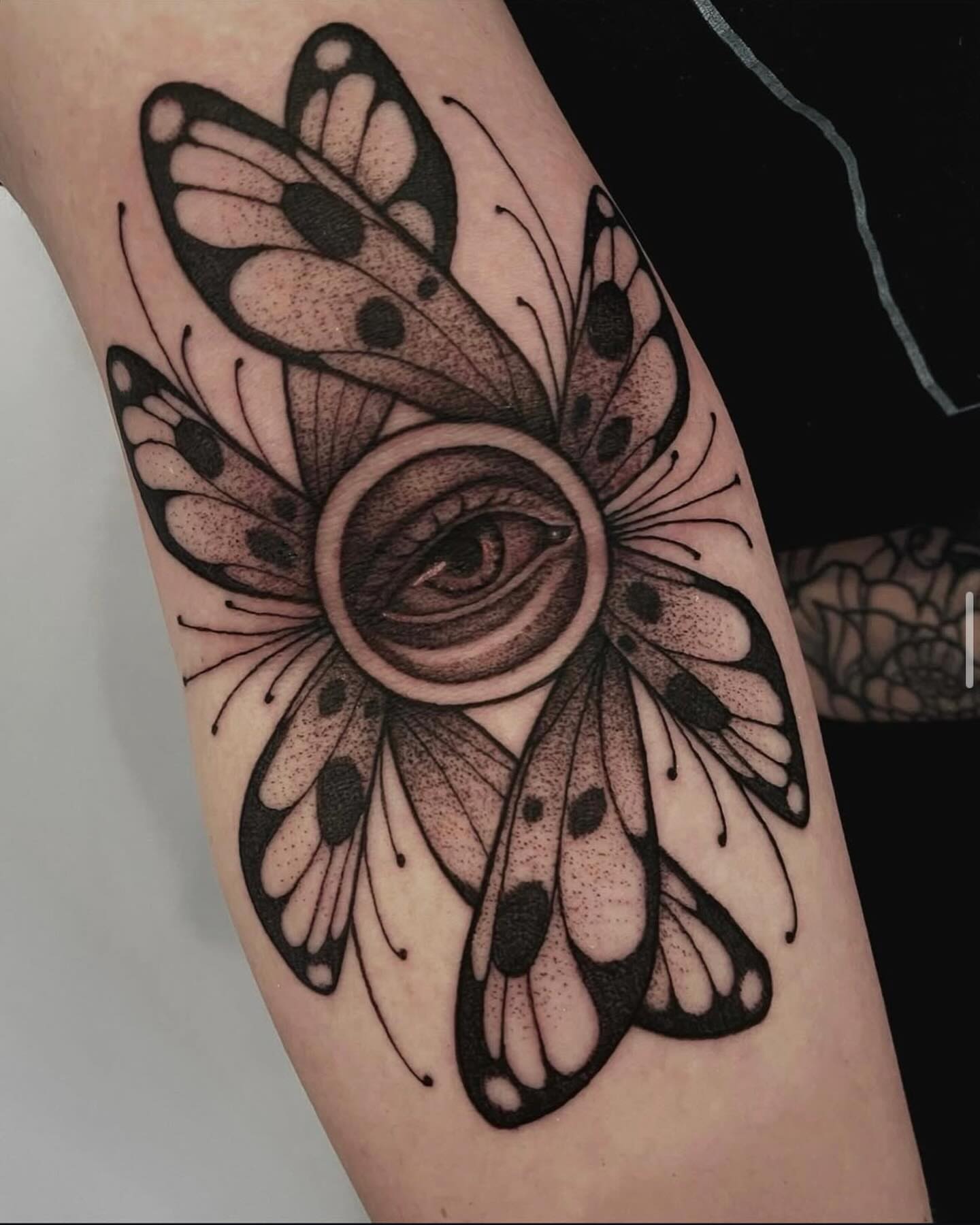 Butterfly with eye dotwork tattoo on the forearm by Tara, Exeter, Pennsylvania