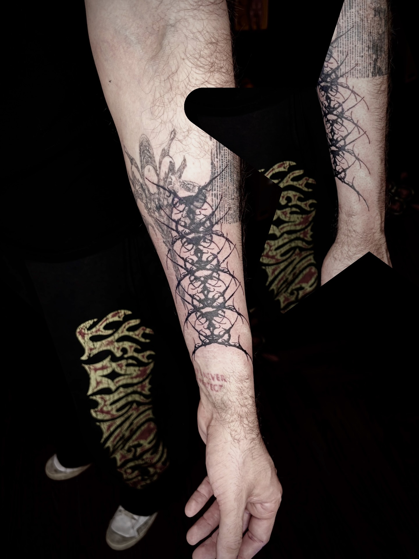 Centipede black and grey tattoo on the forearm by Dev