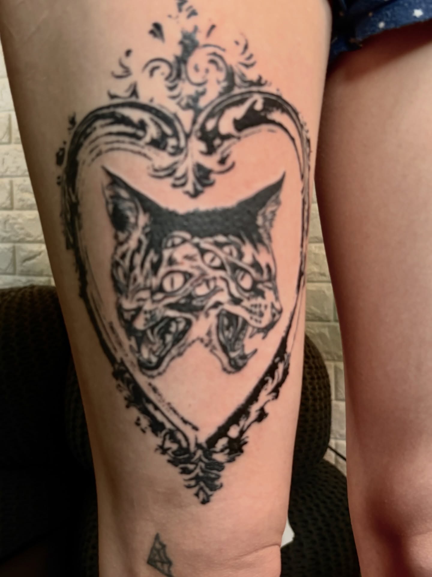 Cat black and grey tattoo on the forearm by Silvia :)