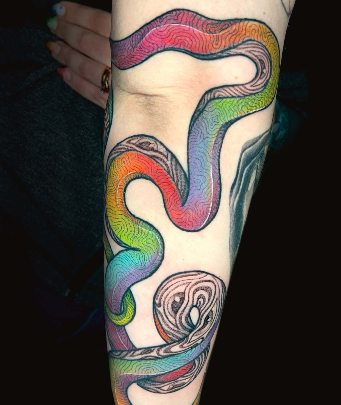 Snake new school tattoo on the forearm by ✨ Pata Pardee ✨ illustration tattoo