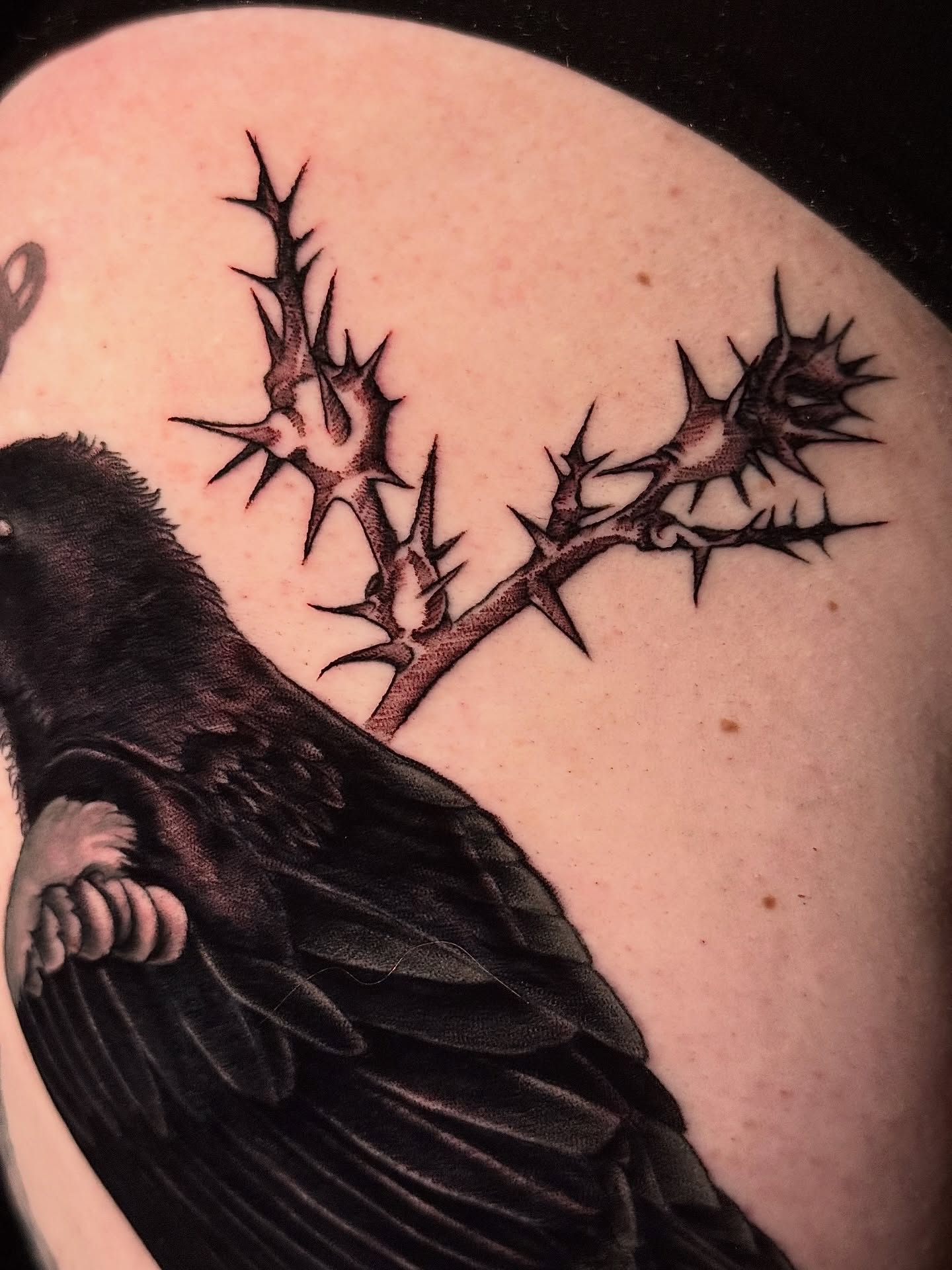 Tattoo by @amberbananafish — black_and_grey, realism