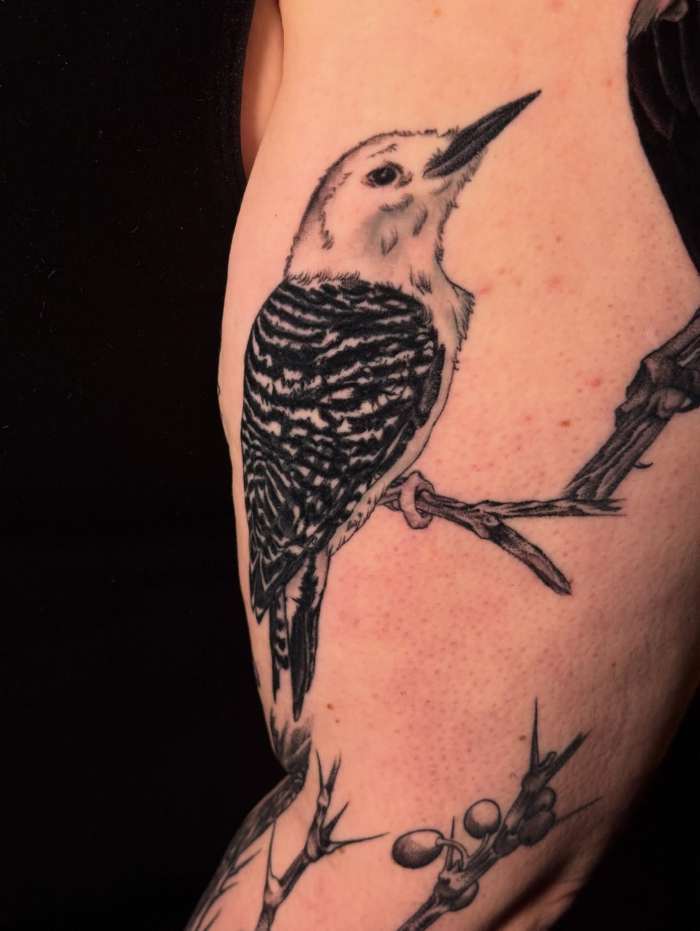 Tattoo by @amberbananafish — black_and_grey