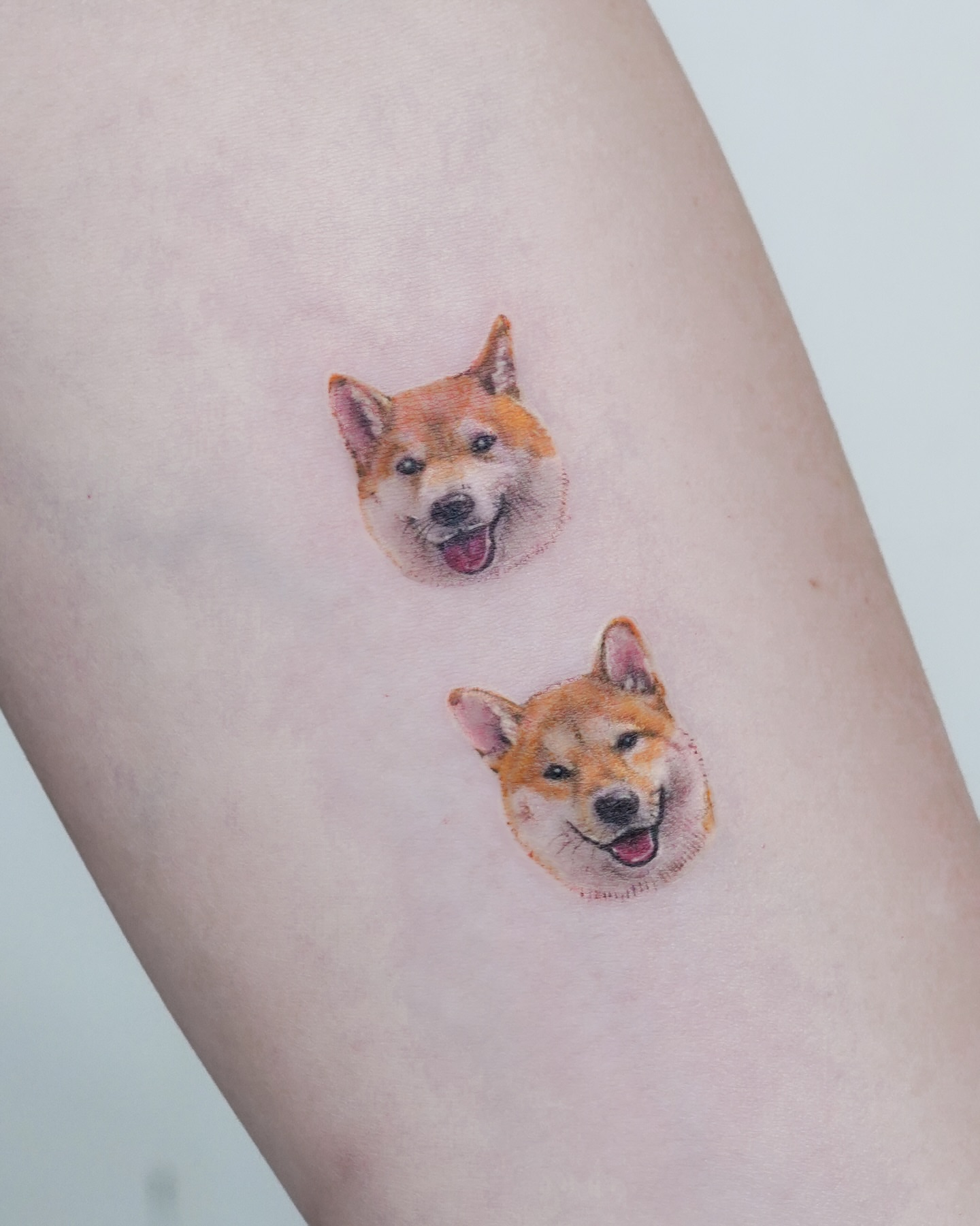 Tattoo by @misa_tat — realism