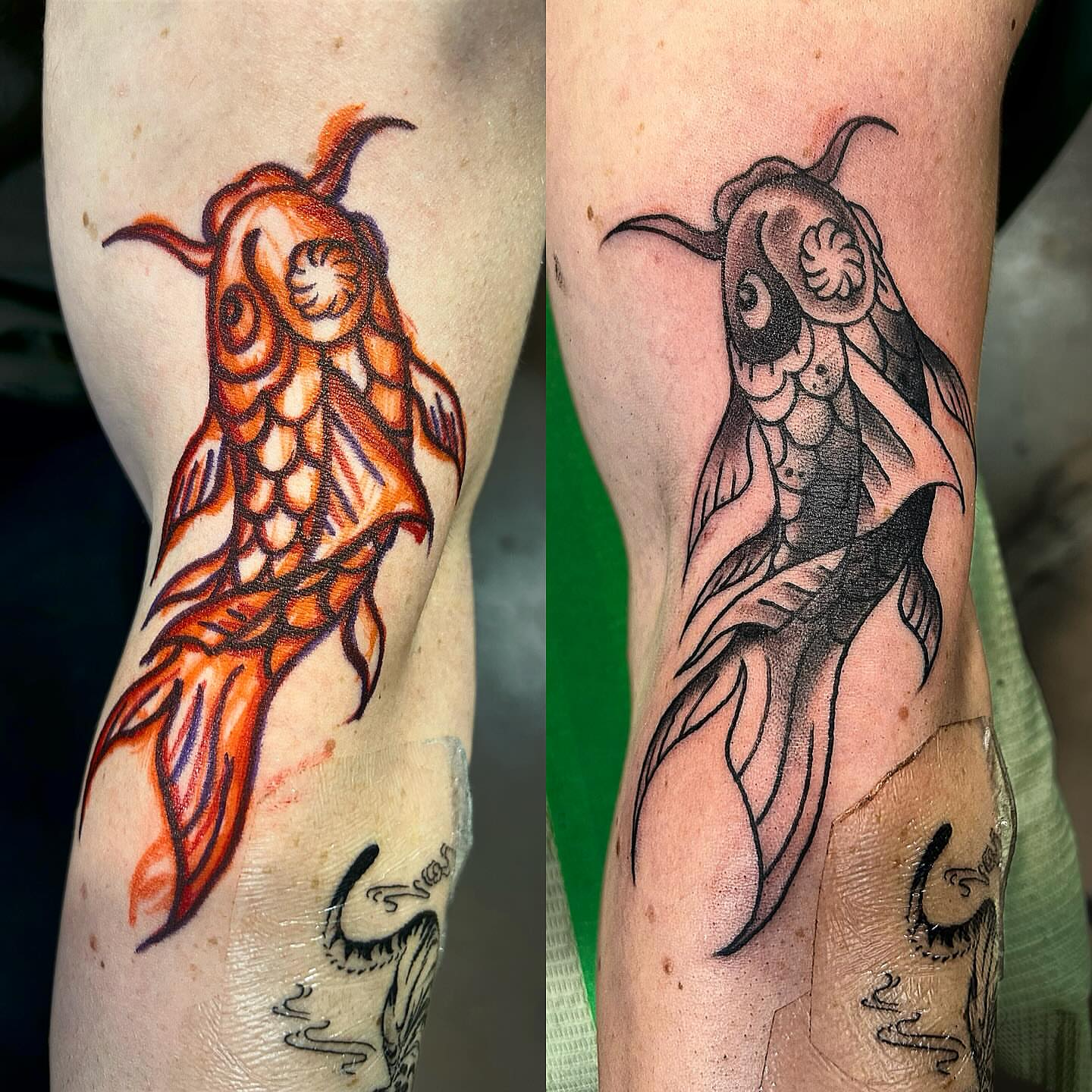 Tattoo by @olaf.tattoos — american_traditional
