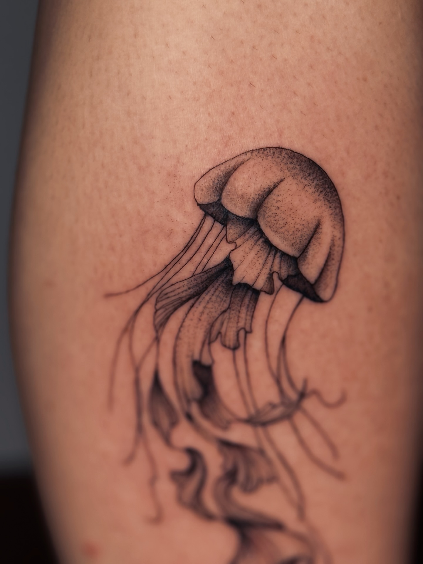 Jellyfish dotwork tattoo on the thigh by Olha Tytarenko
