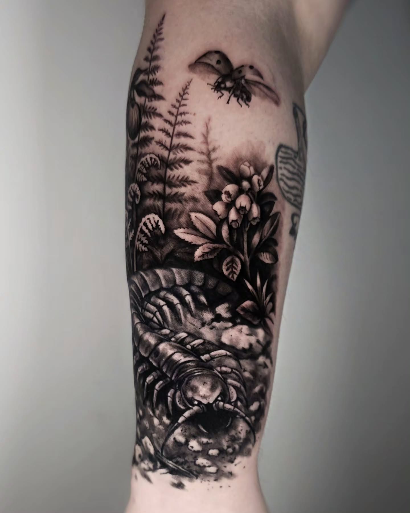 Forest scene realism tattoo on the forearm by ʙʀɪᴀɴɴᴀ 𝒁𝑶𝑴𝑩𝑹𝑰𝑬 ᴛᴀᴛᴛᴏᴏꜱ