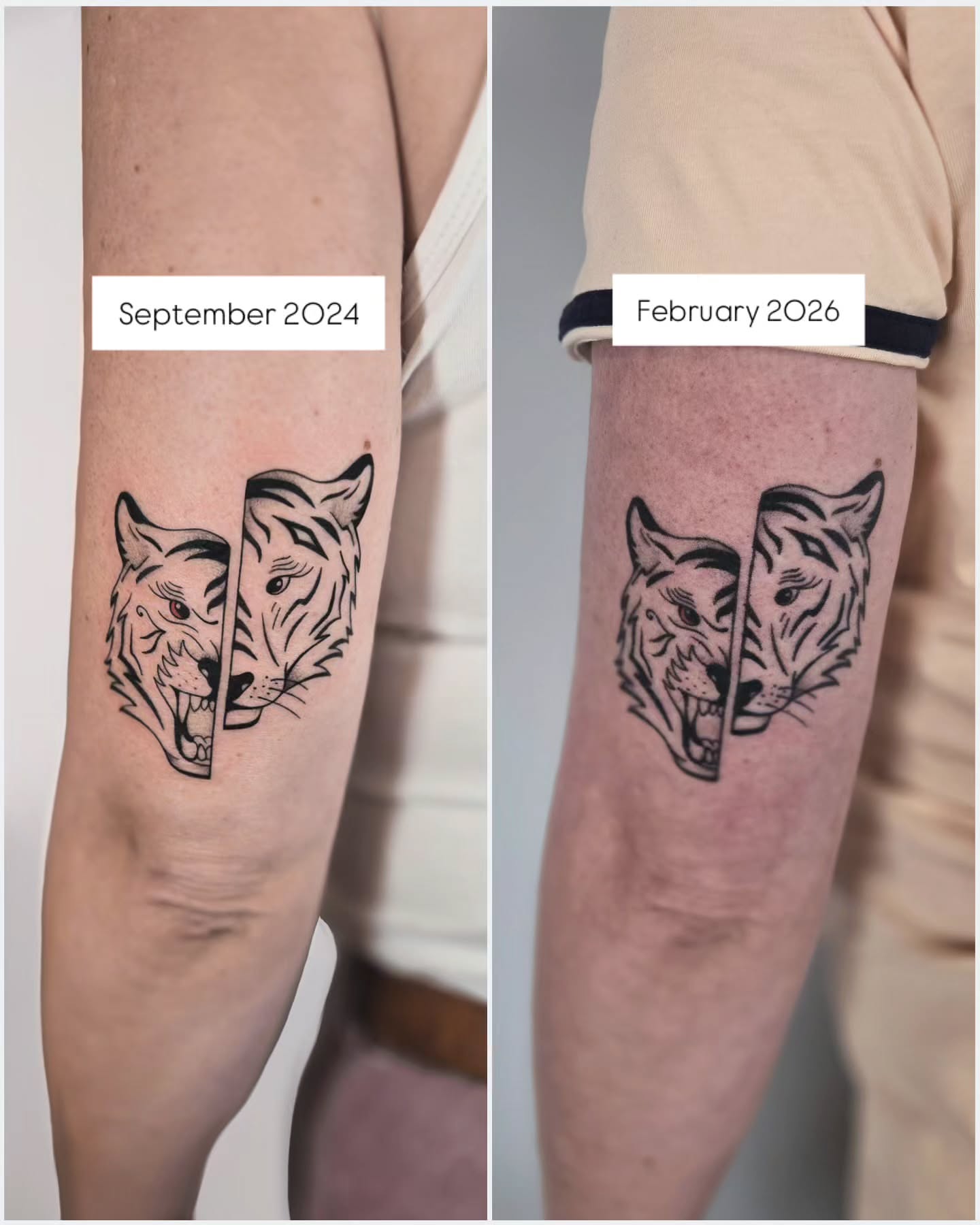 Tiger heads black and grey tattoo on the forearm by Kirstie Lew Tattoo