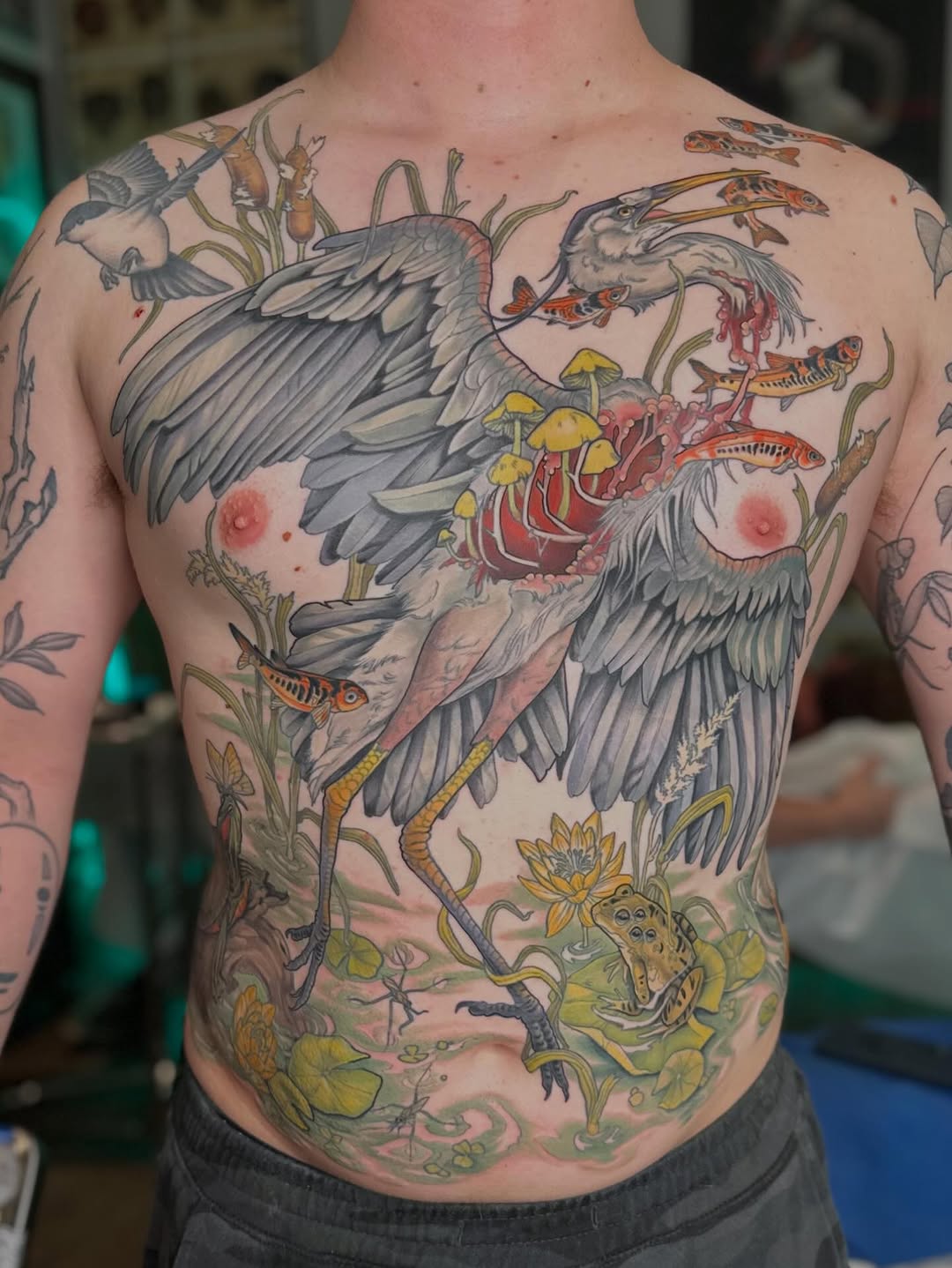 Heron and aquatic life Japanese tattoo on the torso by Cassidy Depew, Seattle, Washington