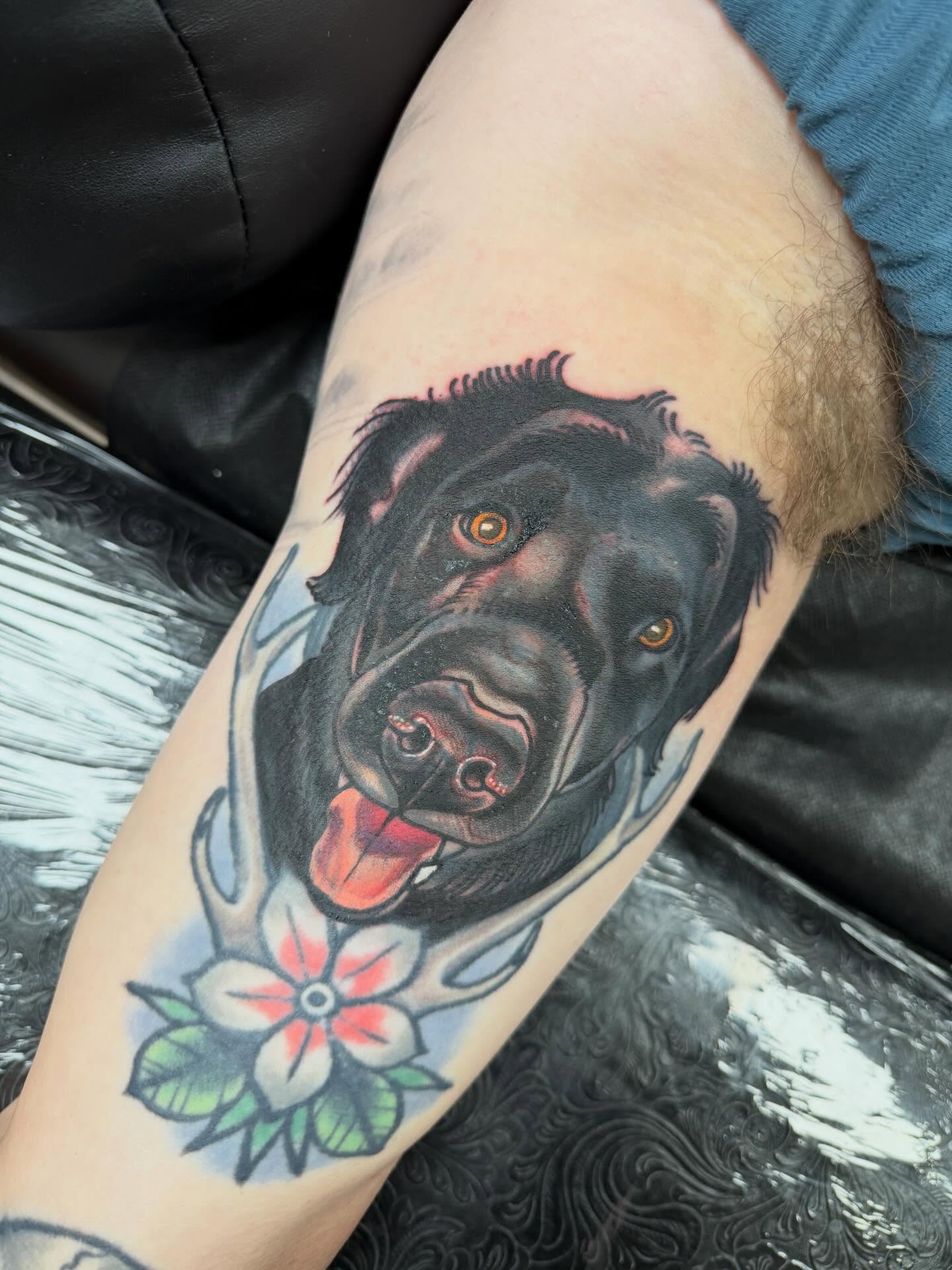 Black labrador realism tattoo on the forearm by Spencer Webb