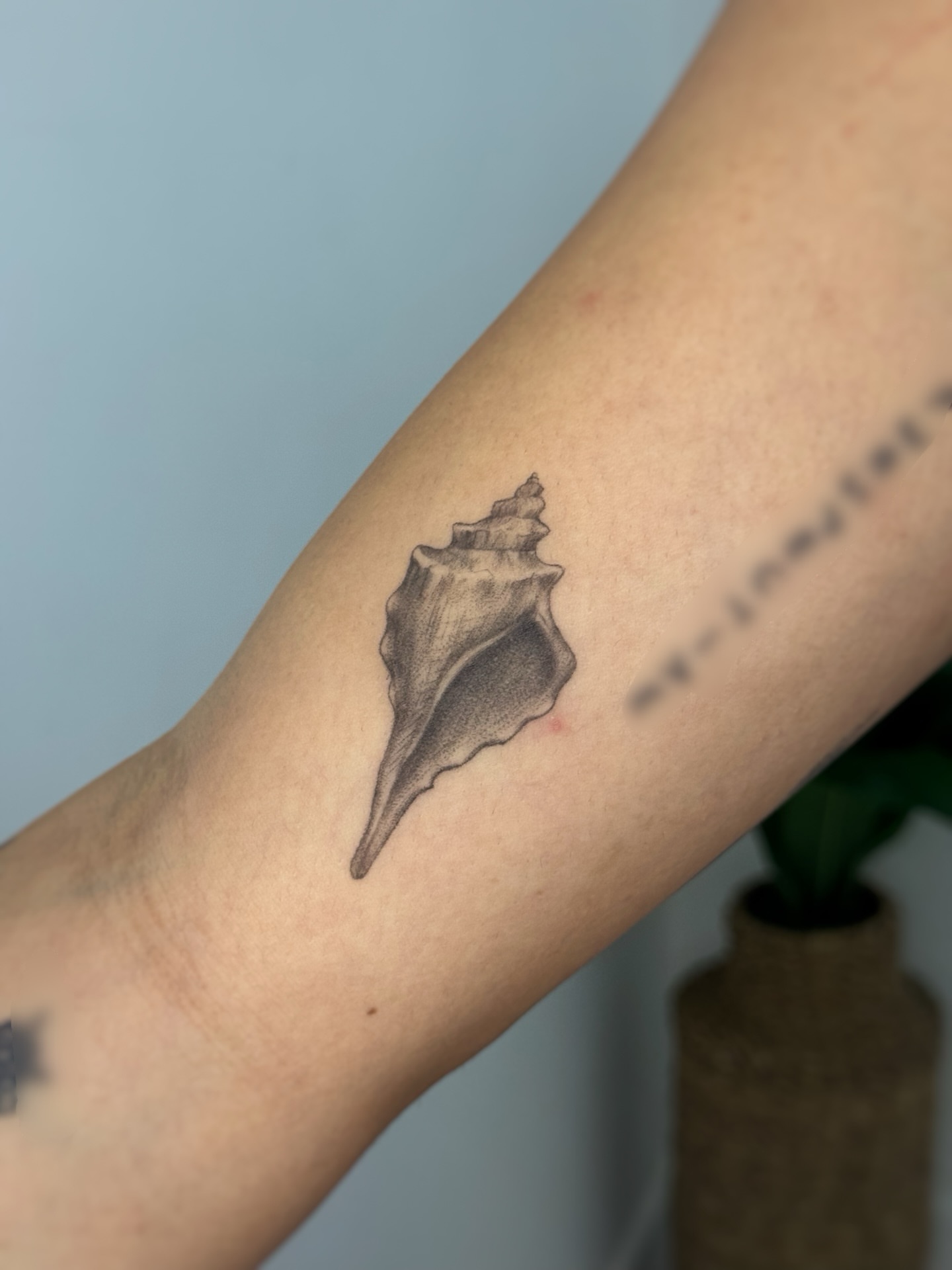 Shell black and grey tattoo on the forearm by Gianna Rodriguez