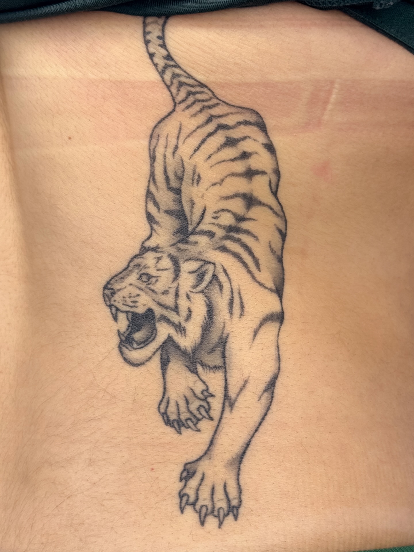 Tiger black and grey tattoo on the ribs by Gianna Rodriguez