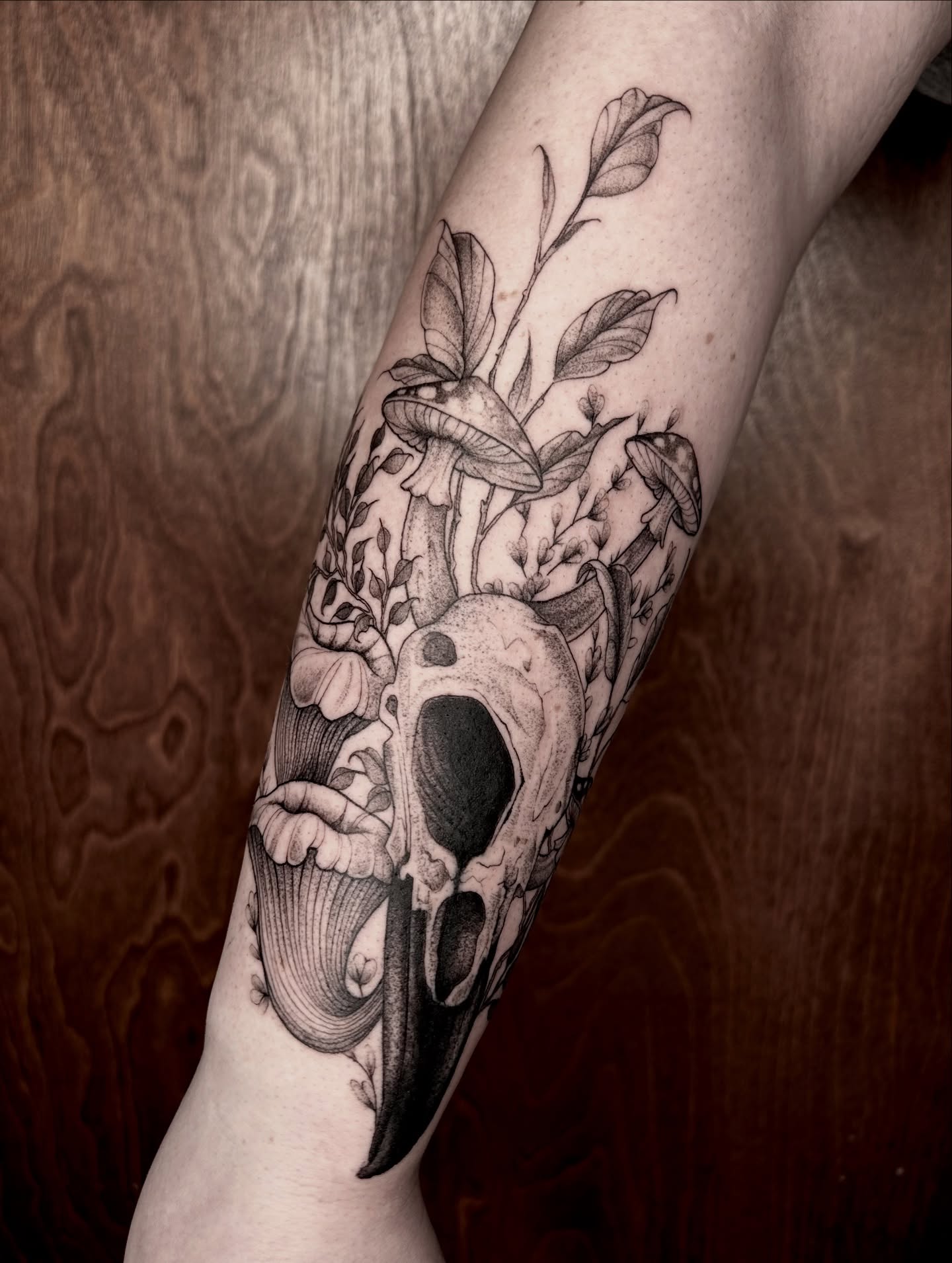 Bird skull and foliage realism tattoo on the forearm by 𝕤𝕒𝕧𝕒𝕟𝕟𝕒