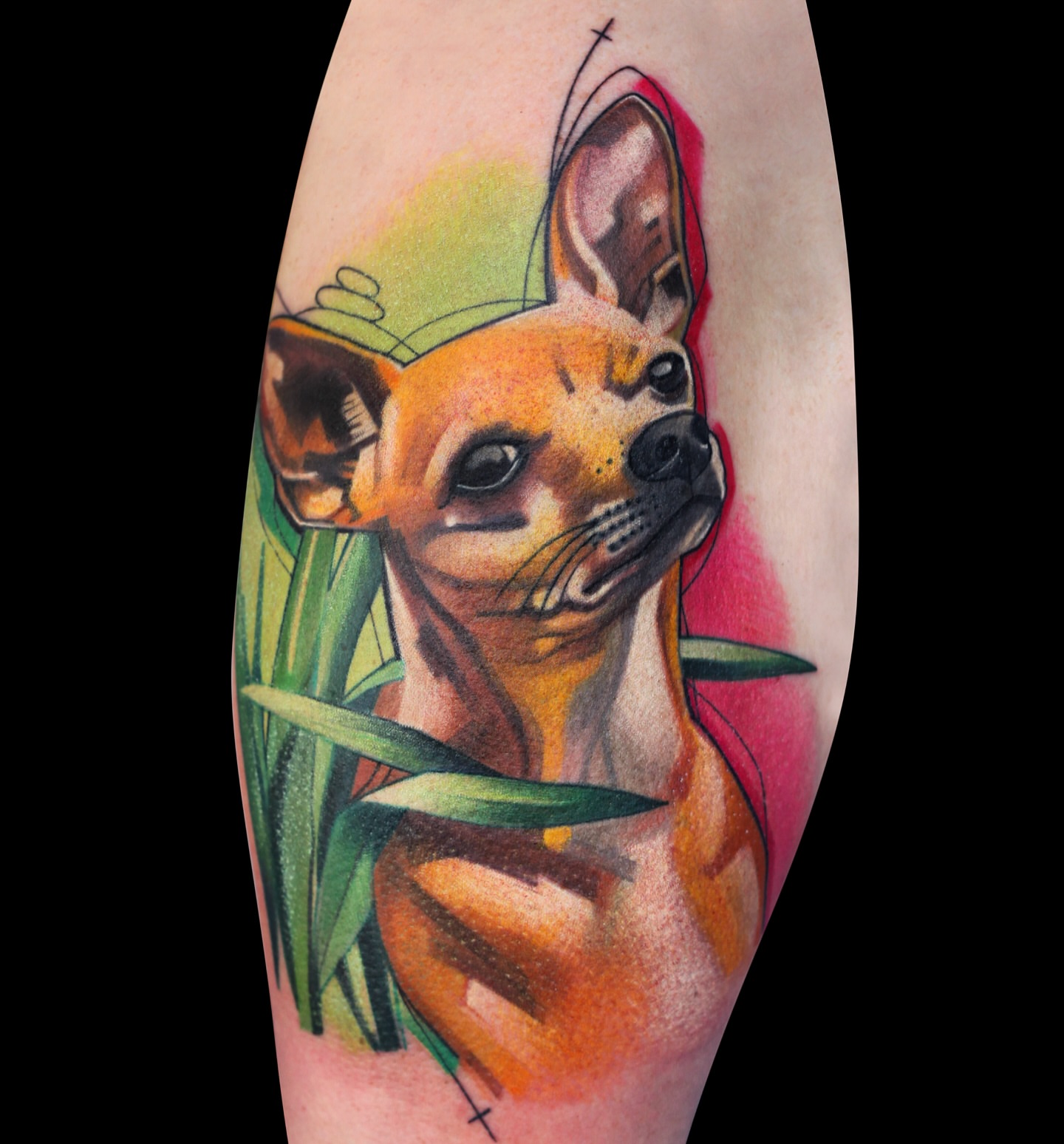 Chihuahua realism tattoo on the forearm by Ivana Belakova