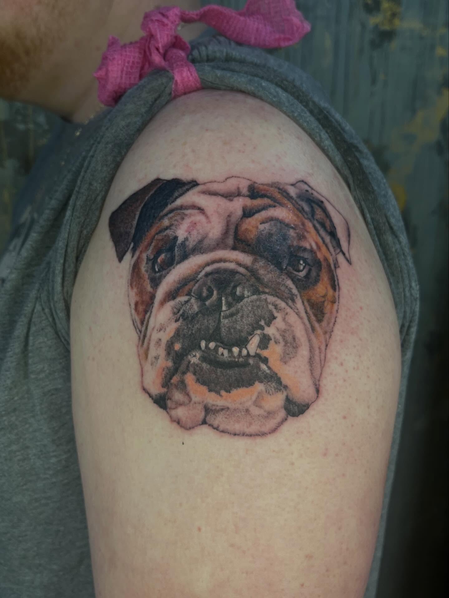 Bulldog realism tattoo on the shoulder by Riley McDonald