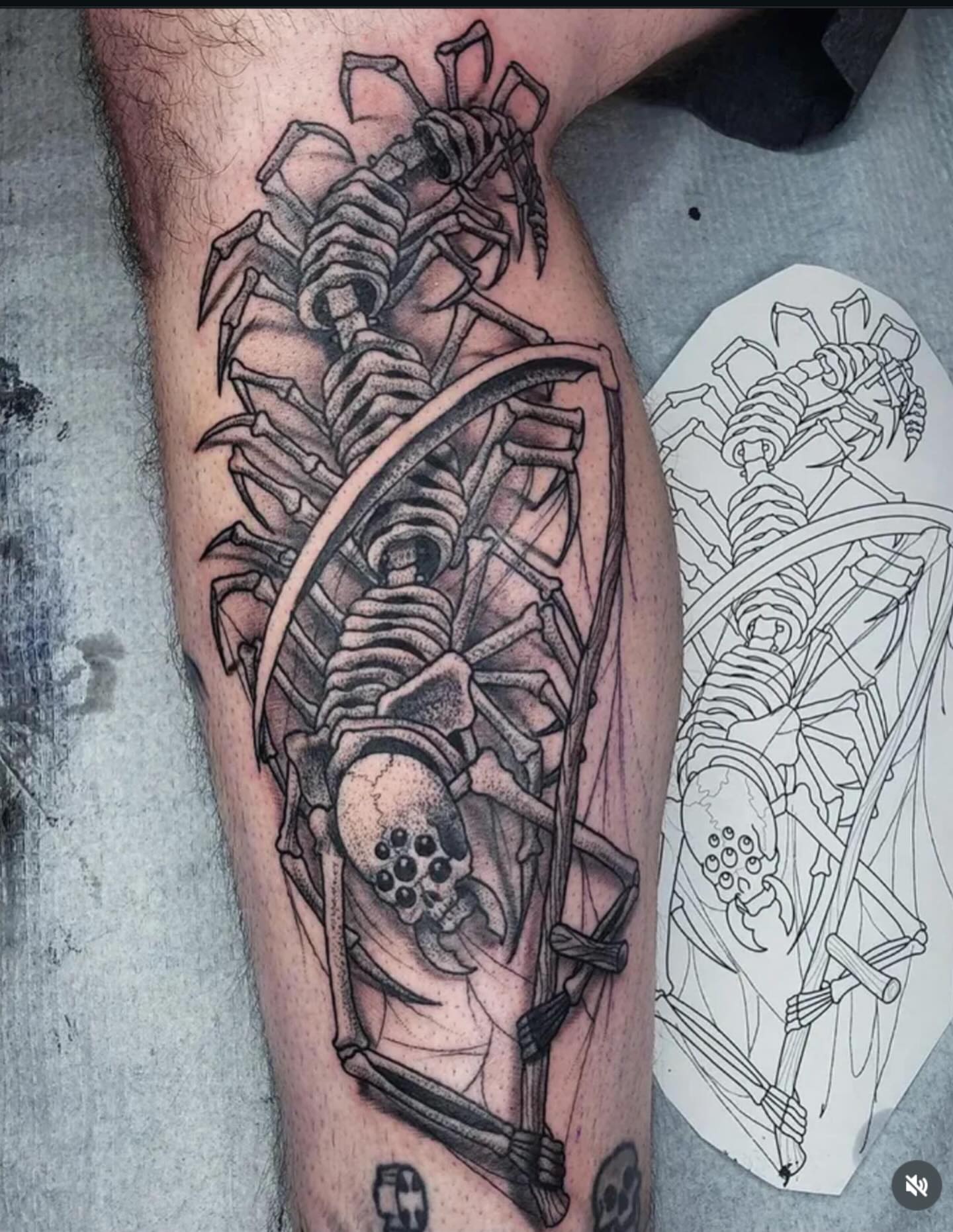 Scorpion skeleton dotwork tattoo on the leg by Eric Ward