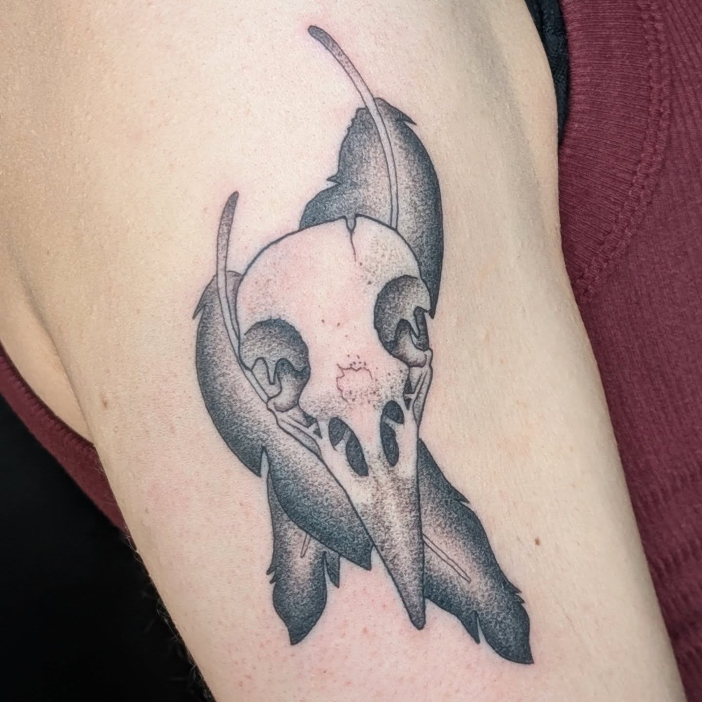 Skull and feathers dotwork tattoo on the forearm by π²π°πket