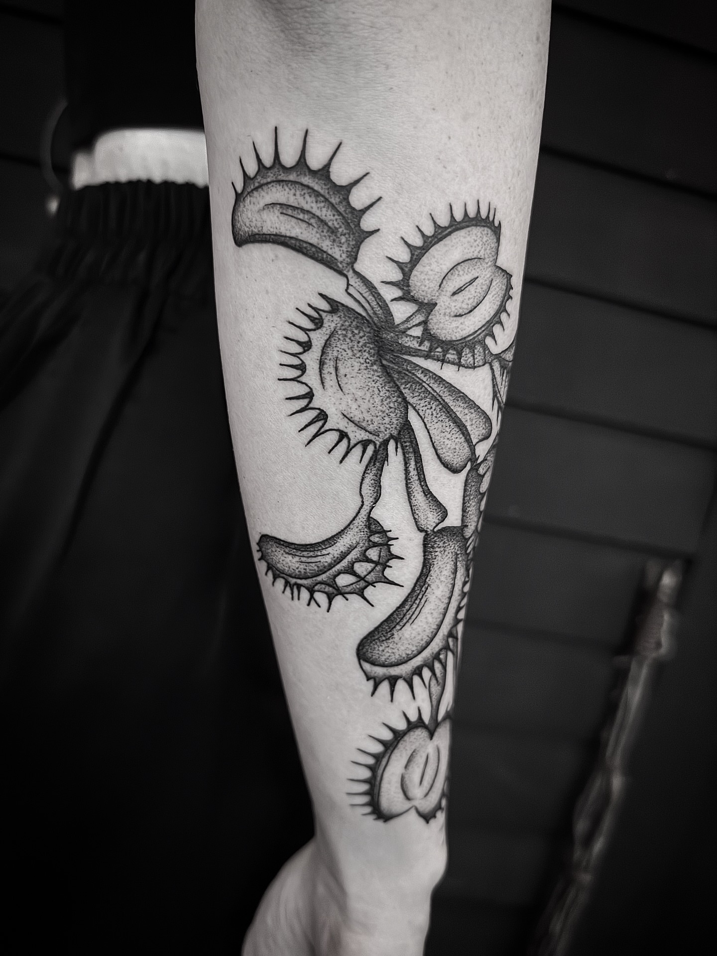 Scorpion dotwork tattoo on the forearm by Breezy Tucker