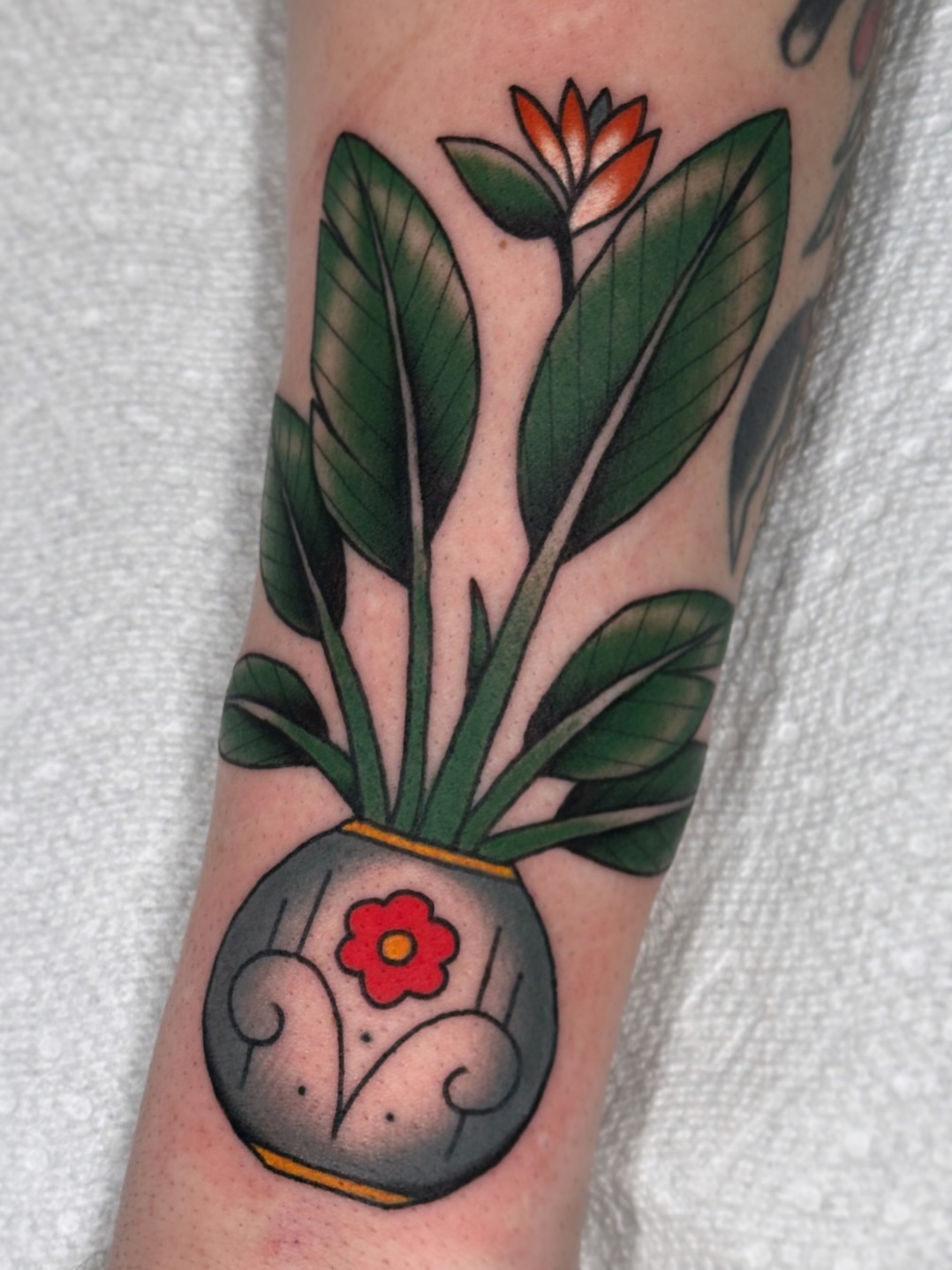 Tattoo by @meira_yael — american_traditional