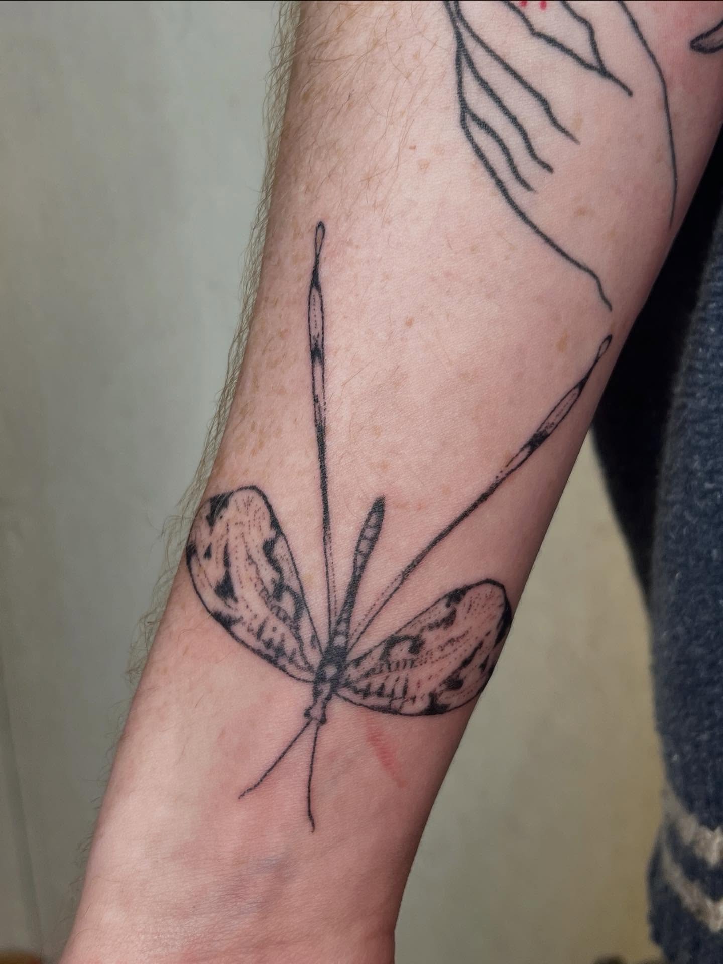 Dragonfly black and grey tattoo on the forearm by faith