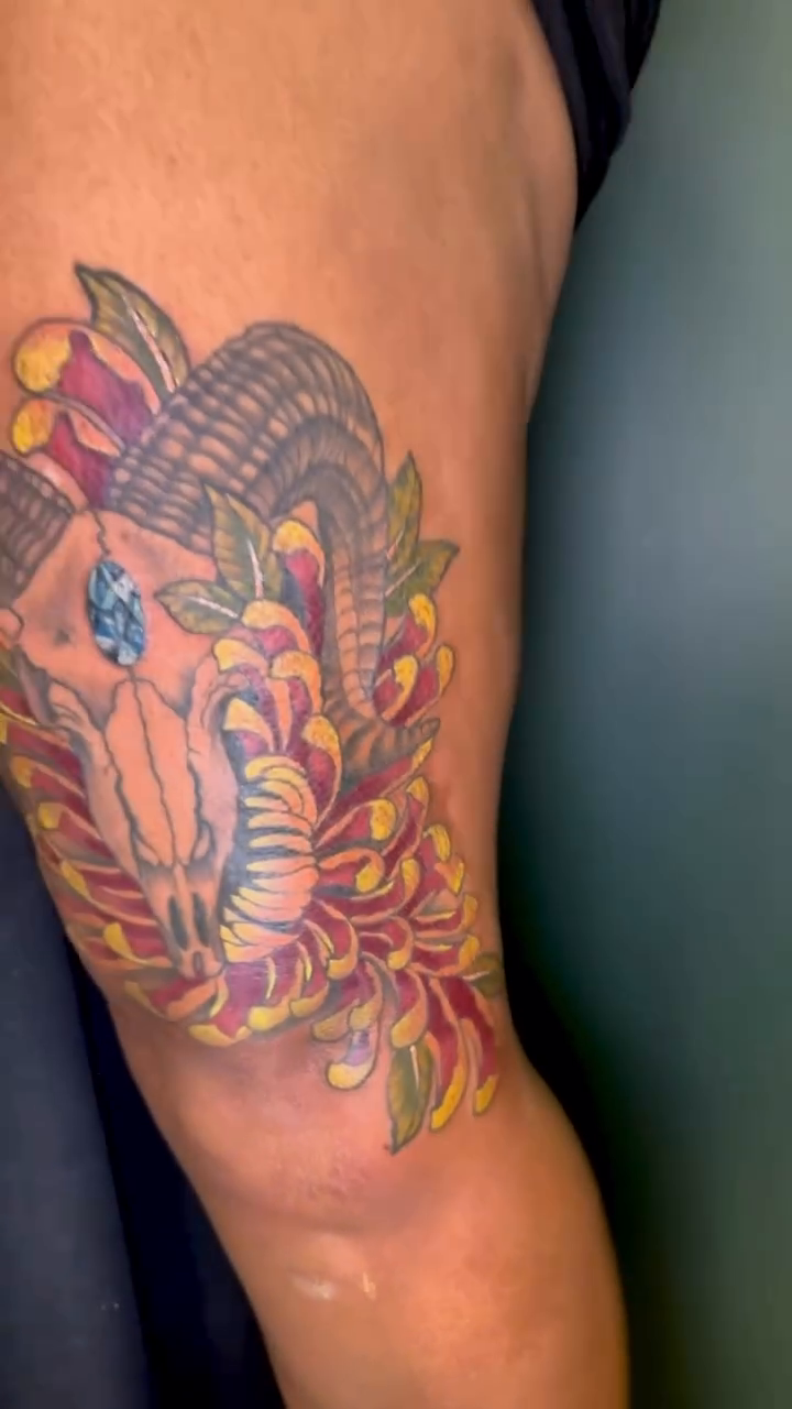 Ram skull with chrysanthemums neo-traditional tattoo by Sarah Margaret