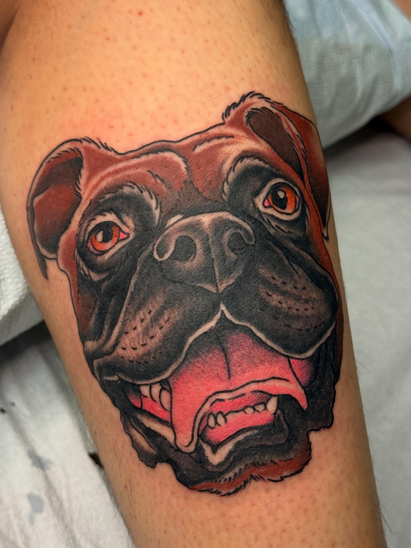 Bulldog realism tattoo on the thigh by 🕸curtis Fink🕸