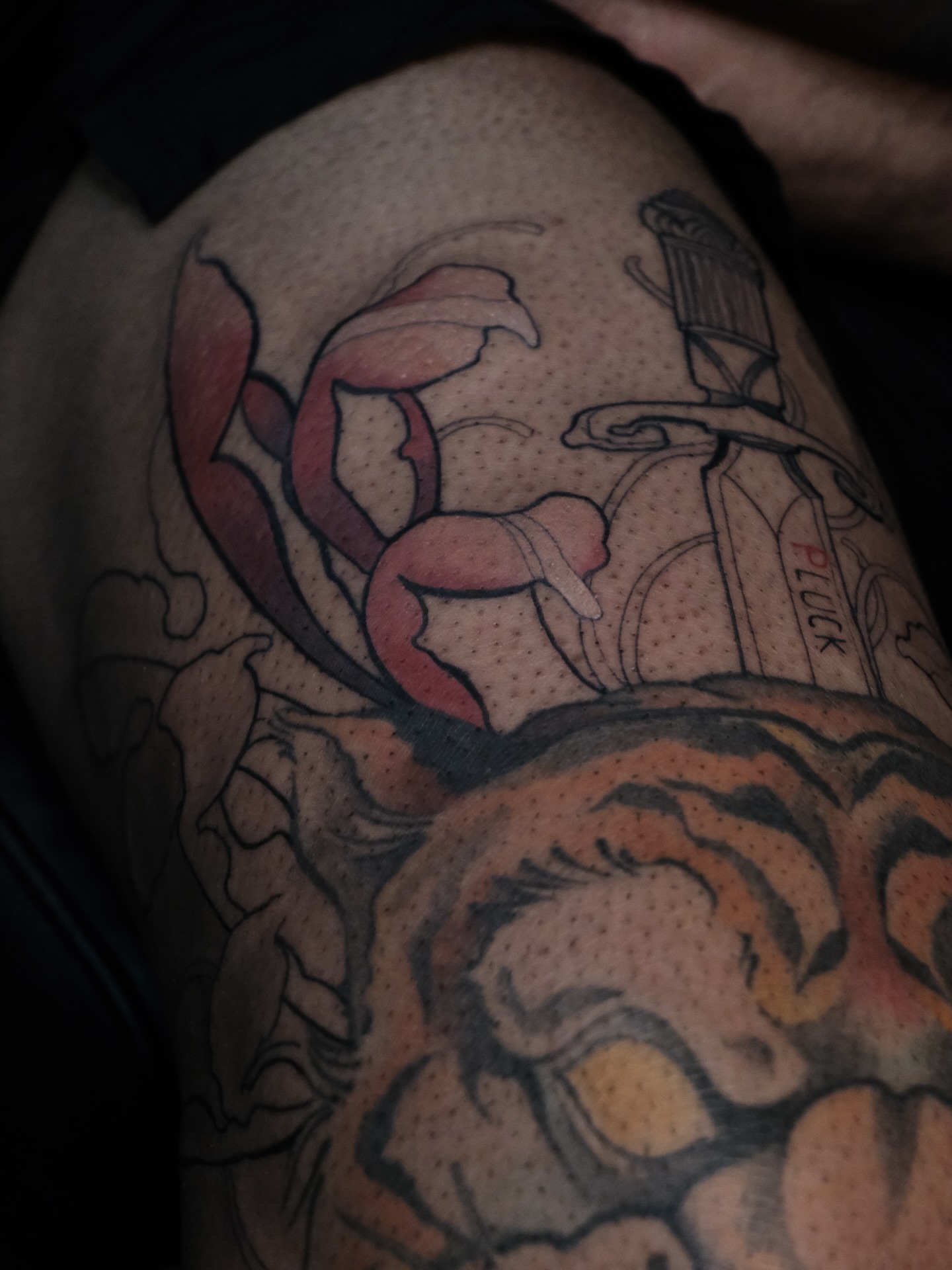 Tattoo by @cordova.ink — dotwork, realism