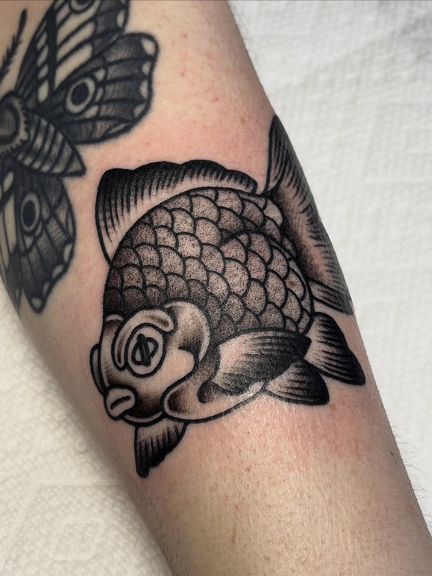 Koi fish black and grey tattoo on the forearm by Eryn Madison Smyth