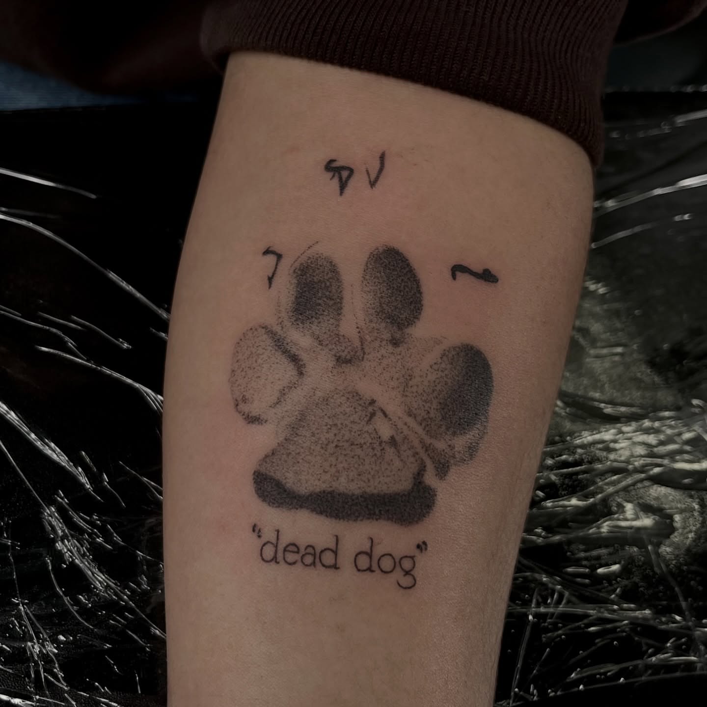 Dog paw print dotwork tattoo on the forearm by ✩gracie ⋆｡°✩