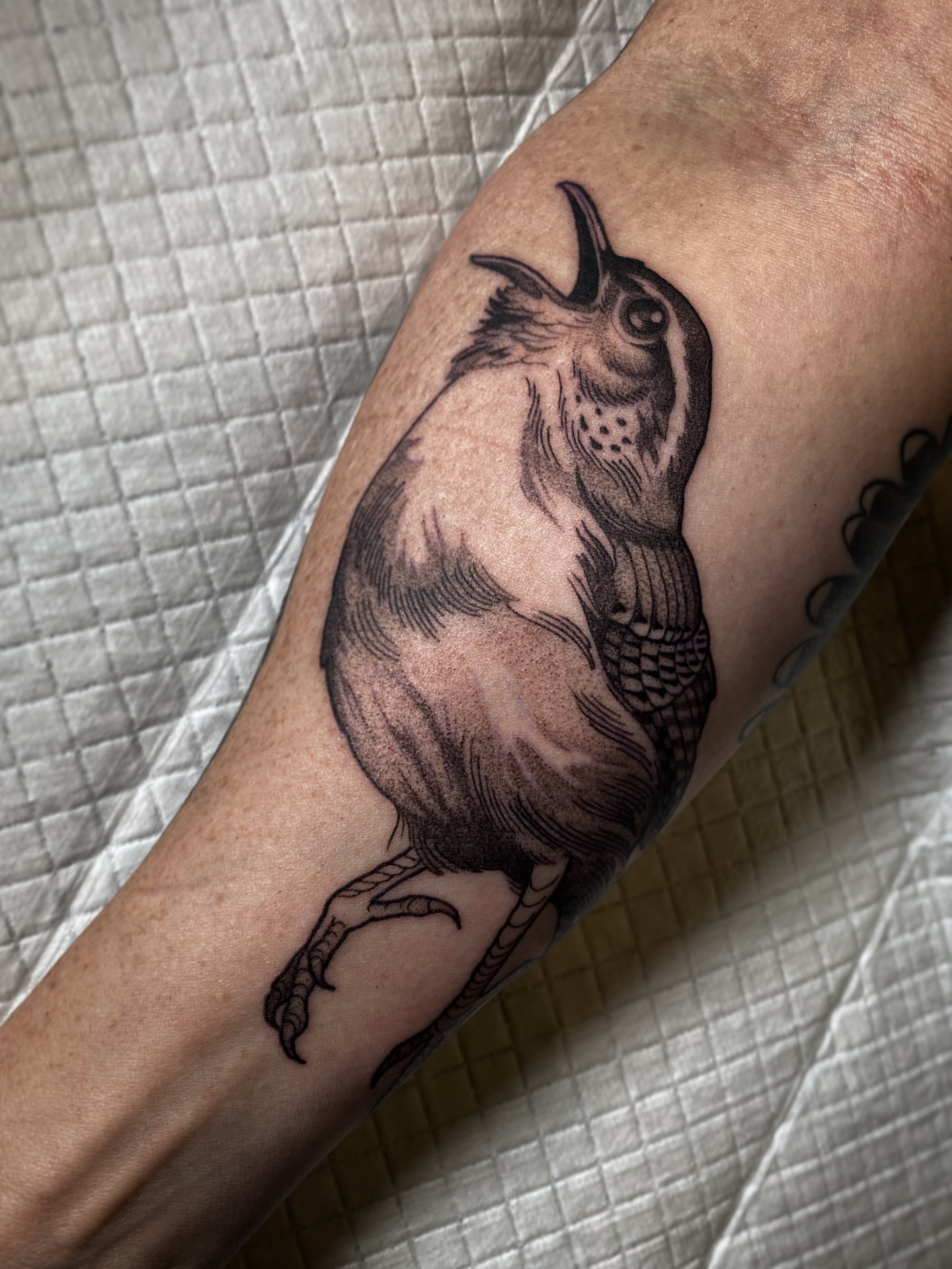 Bird black and grey tattoo on the forearm by Natasha Dickinson