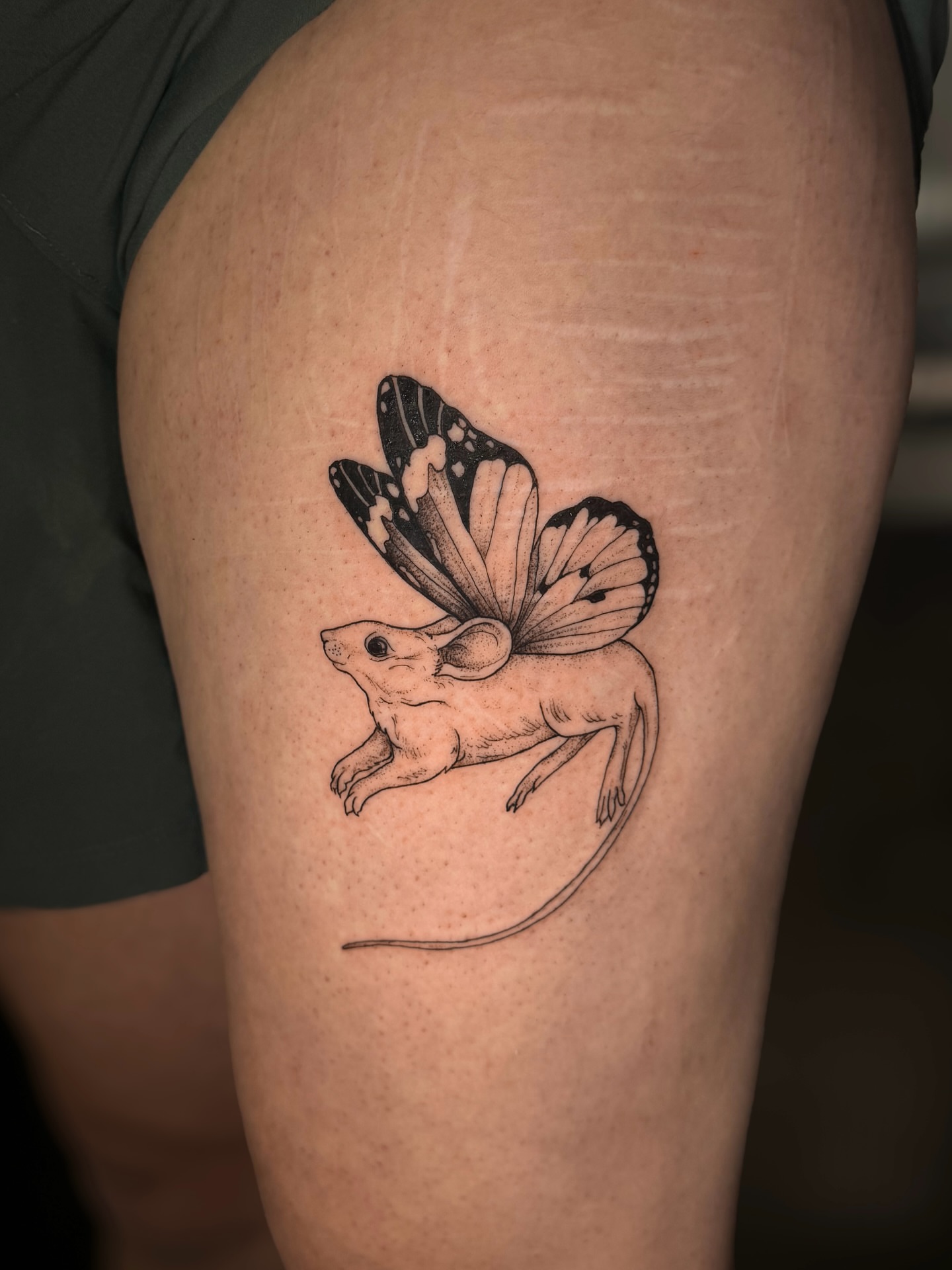 Mouse with butterfly wings black and grey tattoo on the thigh by Kam Mills