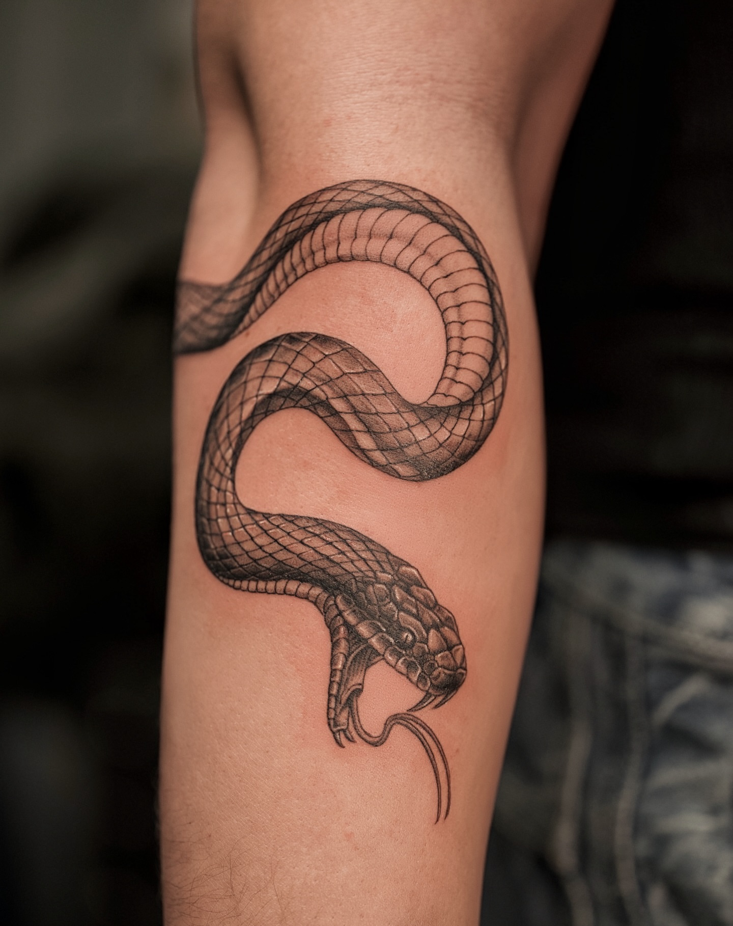 Tattoo by @d.w._modoink — black_and_grey
