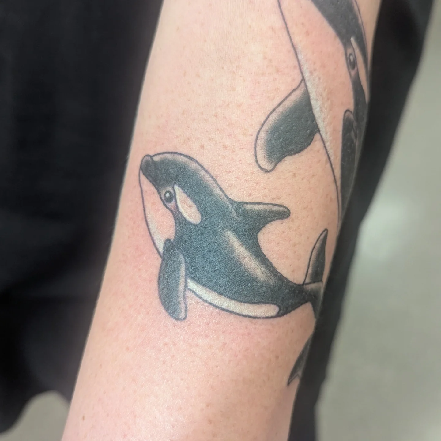 Killer whale black and grey tattoo on the forearm by ♡ Cora ♡