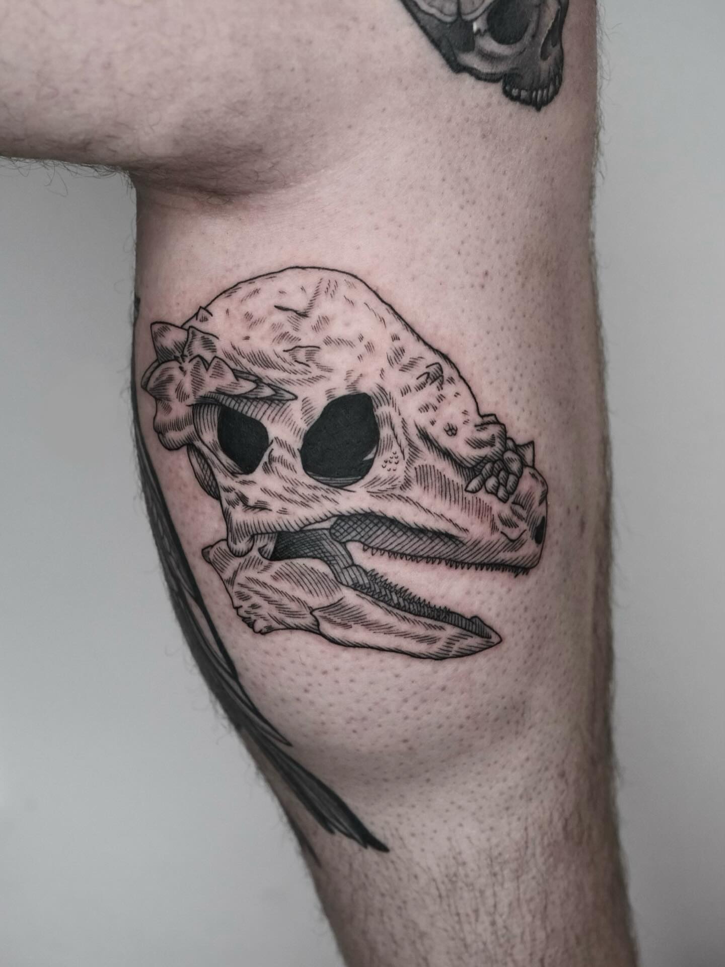 Dinosaur skull black and grey tattoo on the forearm by Peter(피터)