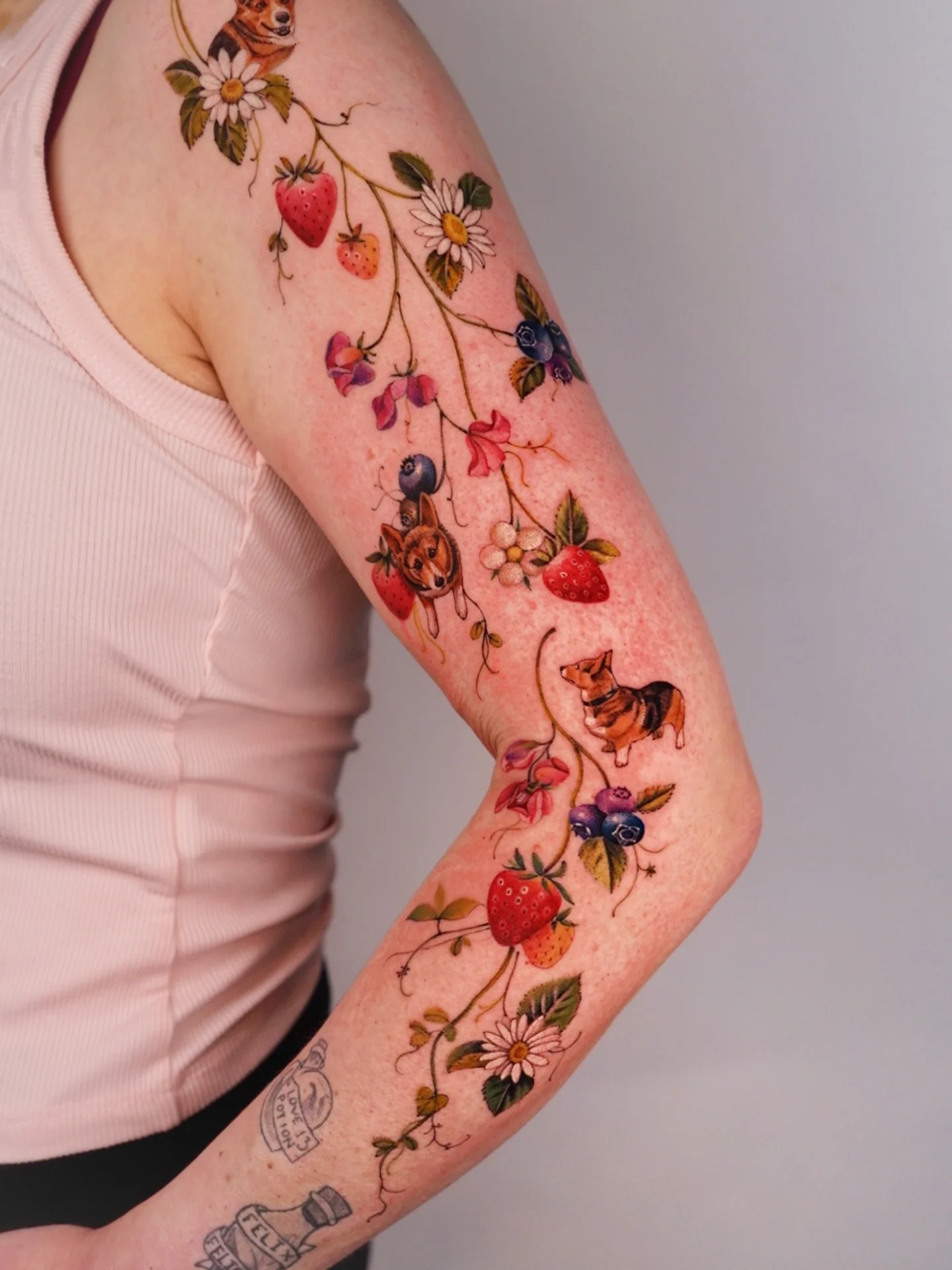 Fruit and dog watercolor tattoo on the forearm by Vii