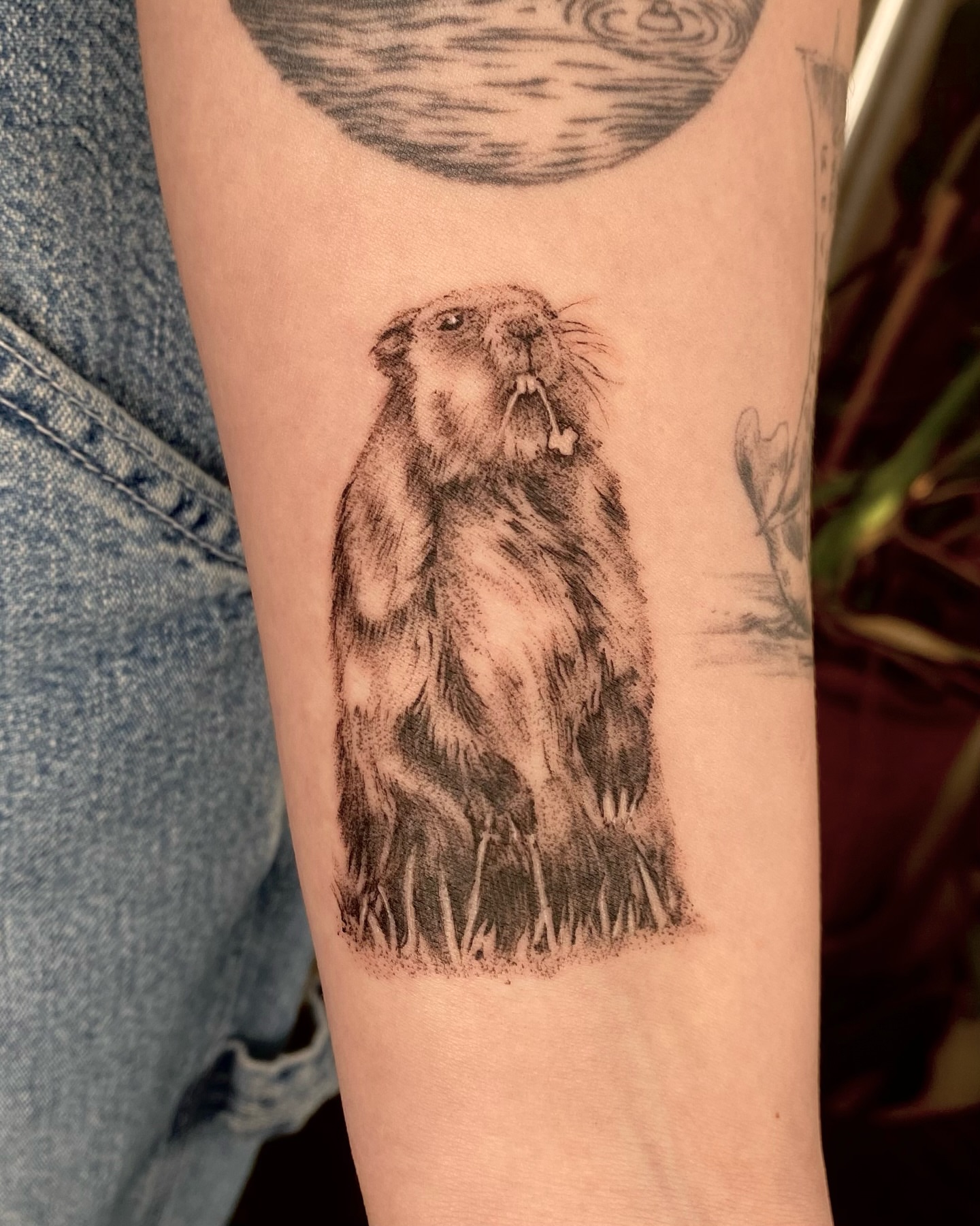 Groundhog dotwork tattoo on the forearm by Olivia