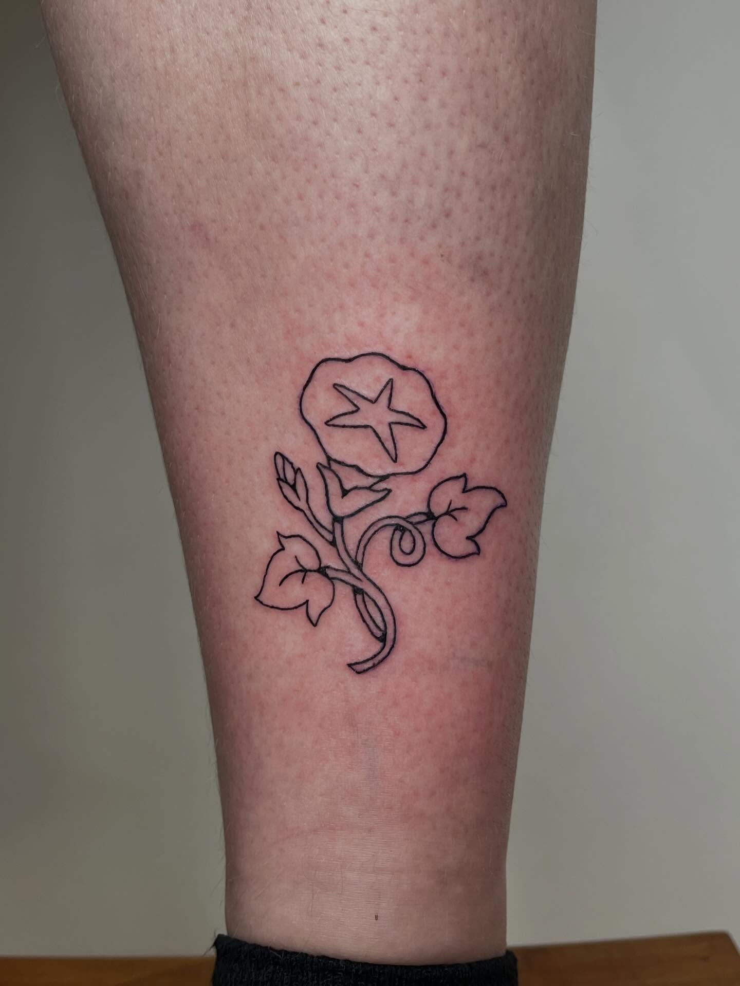 Morning glory fine line tattoo on the forearm by ashley π²